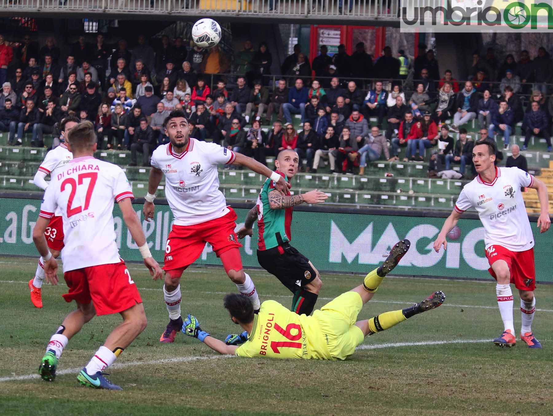 Ternana-Perugia33-foto-A.Mirimao