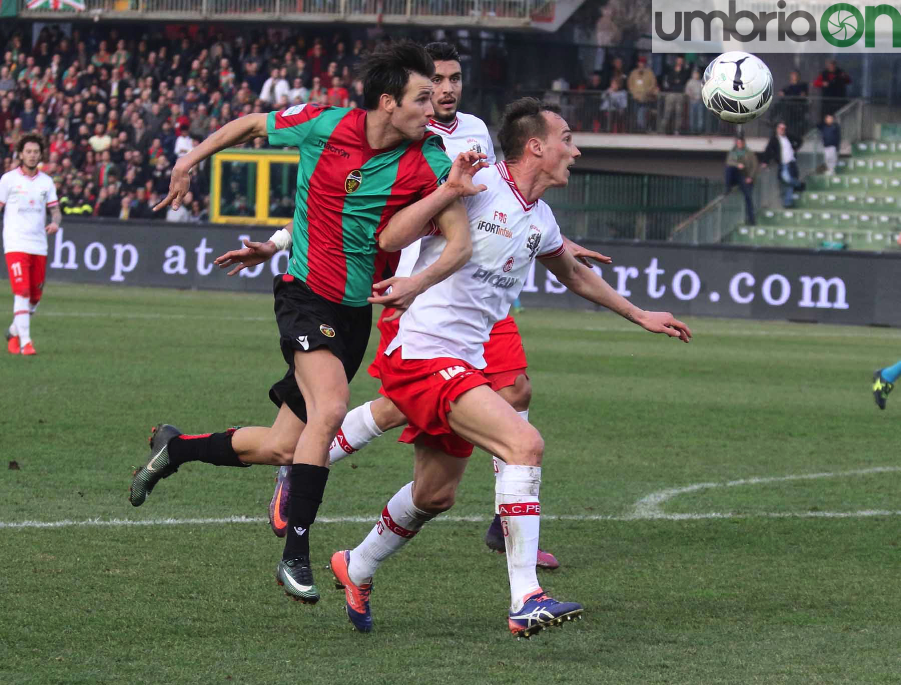 Ternana-Perugia37-foto-A.Mirimao