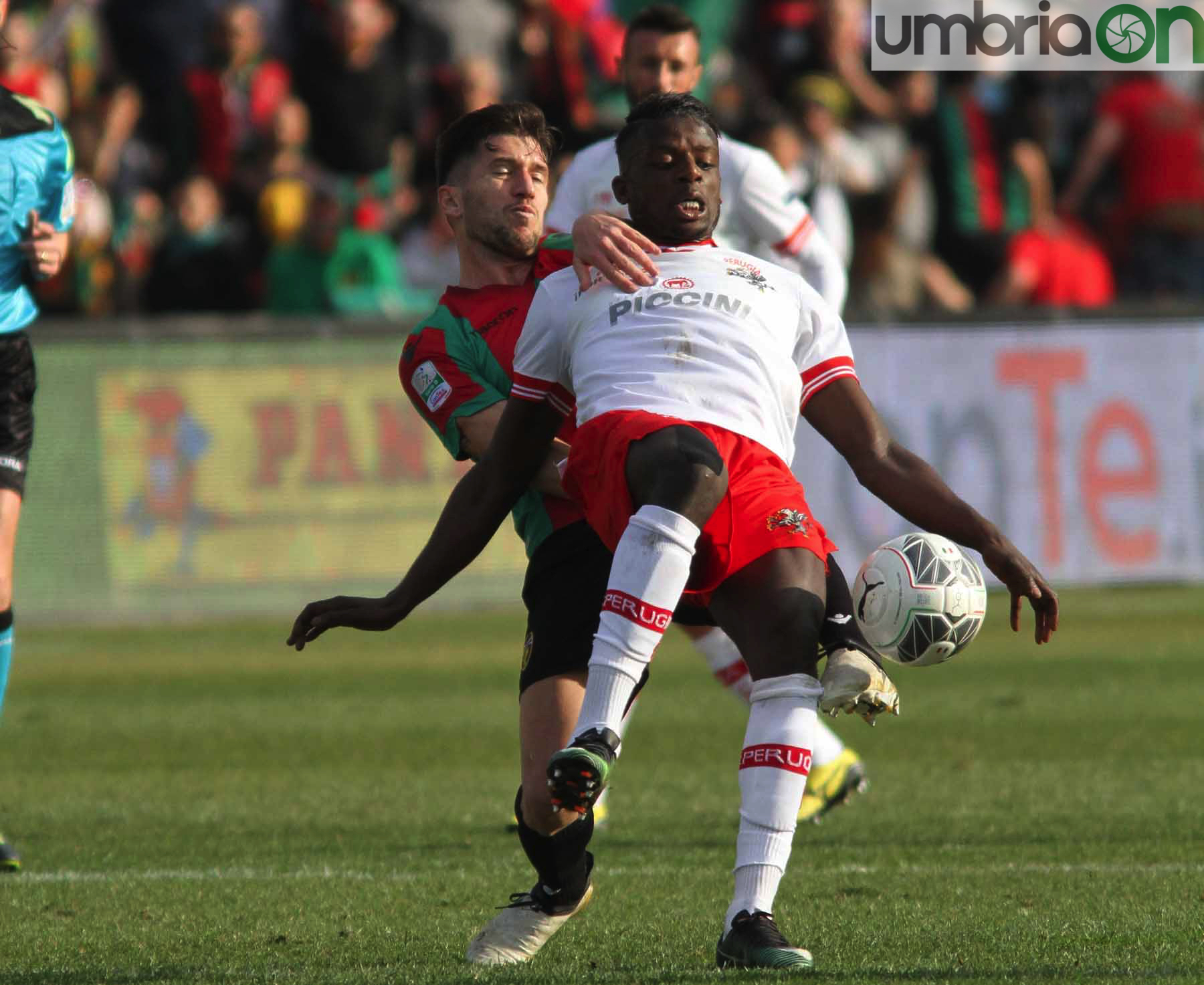 Ternana-Perugia57-foto-A.Mirimao