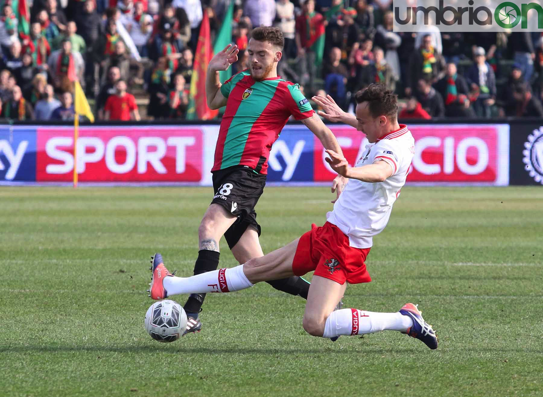 Ternana-Perugia9-foto-A.Mirimao