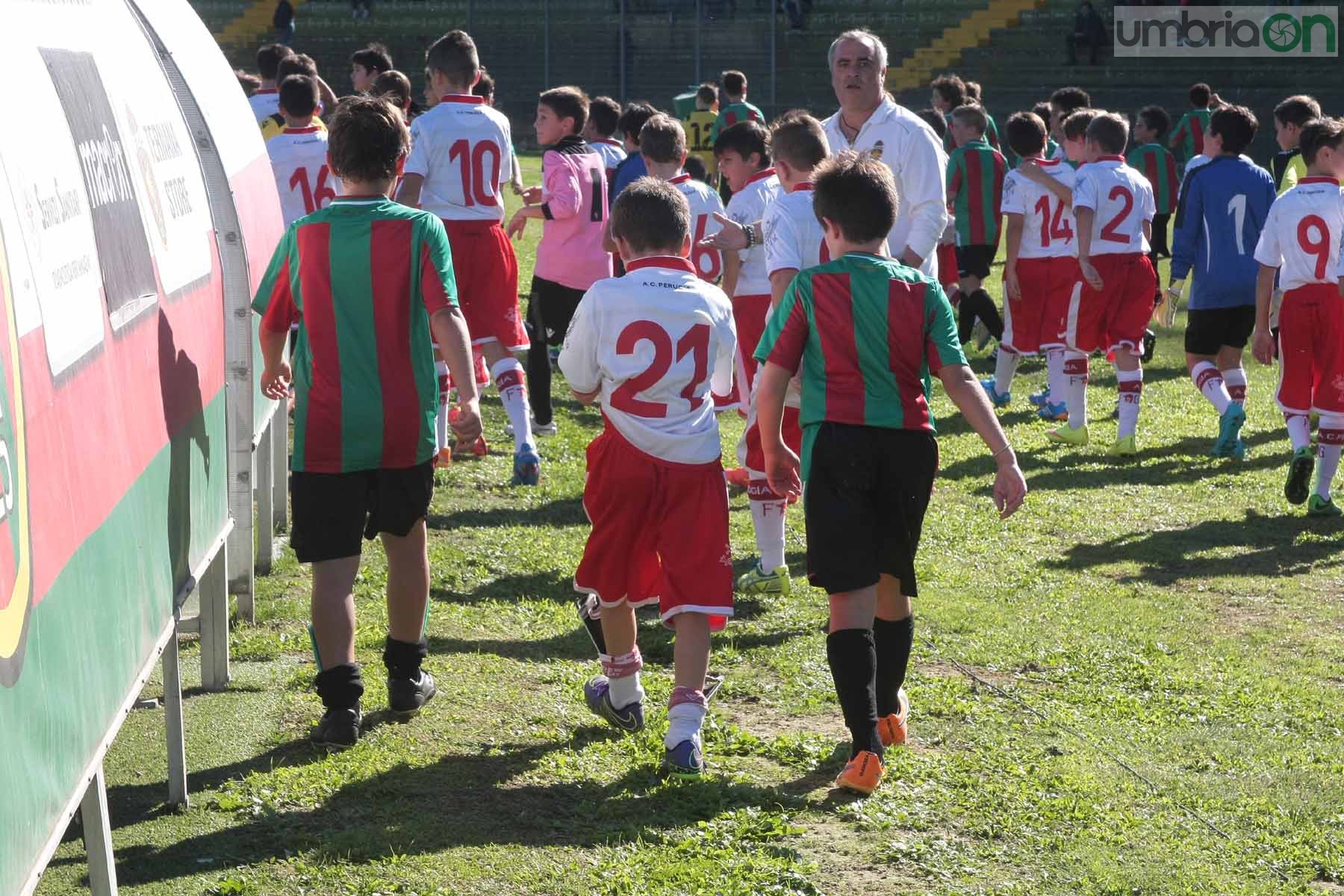 Ternana - Perugia 24 ottobre 2015 (Foto Mirimao) (116)