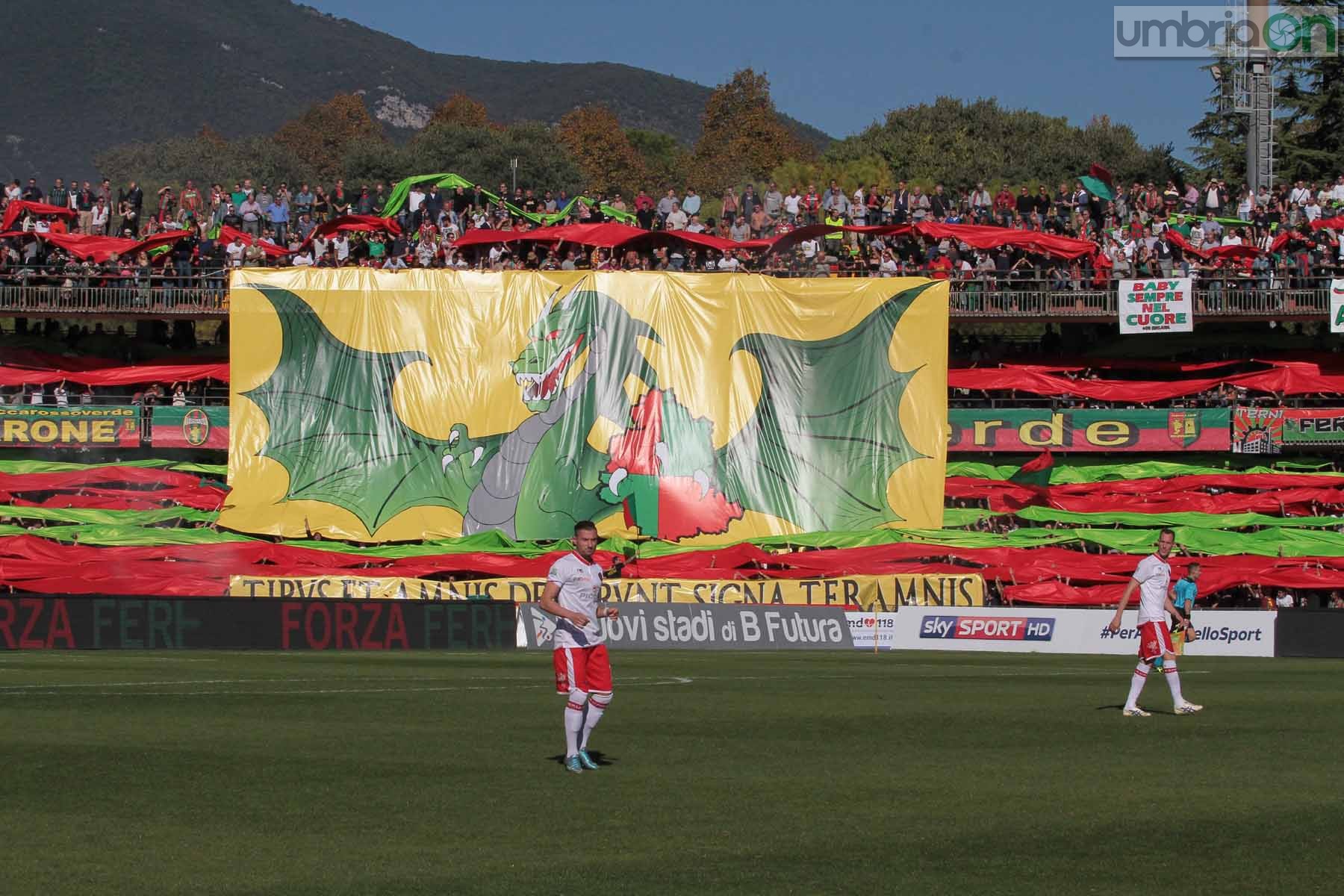 Ternana - Perugia 24 ottobre 2015 (Foto Mirimao) (17)