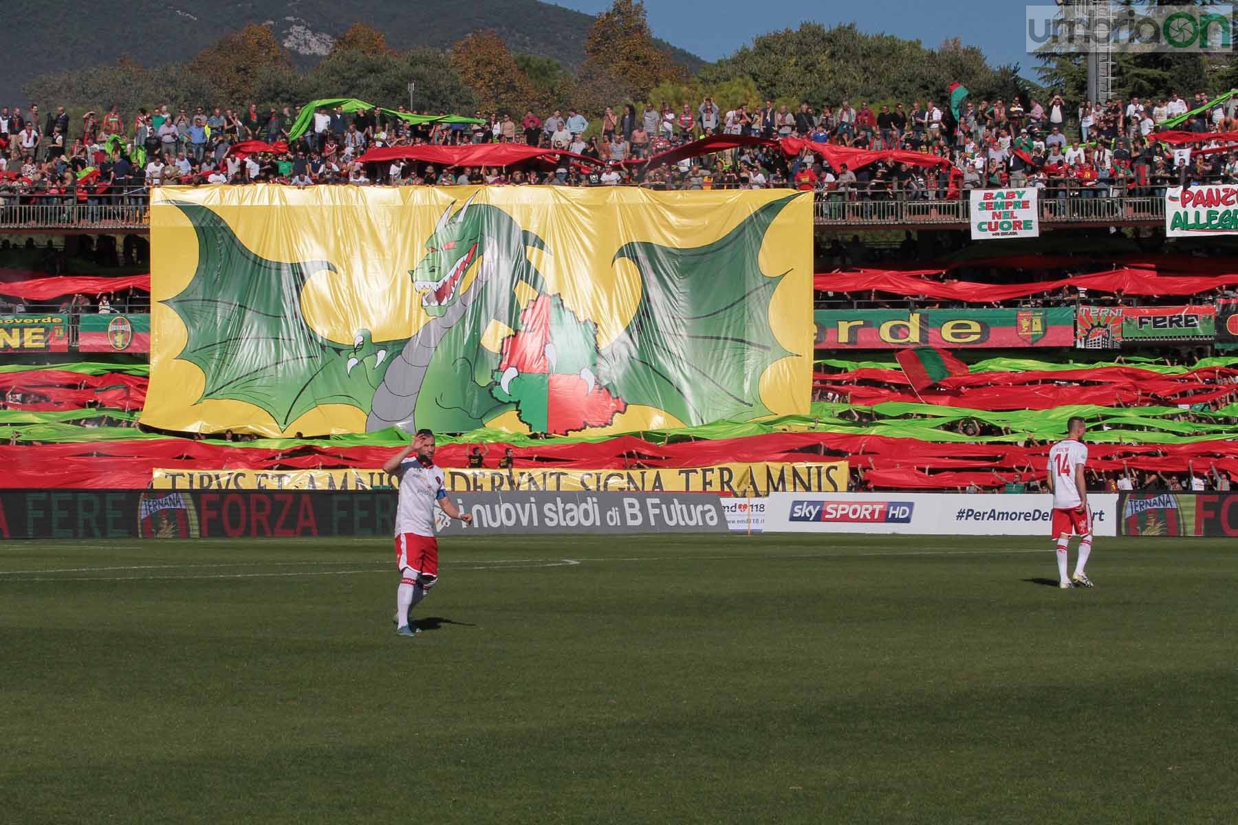 Ternana - Perugia 24 ottobre 2015 (Foto Mirimao) (18)