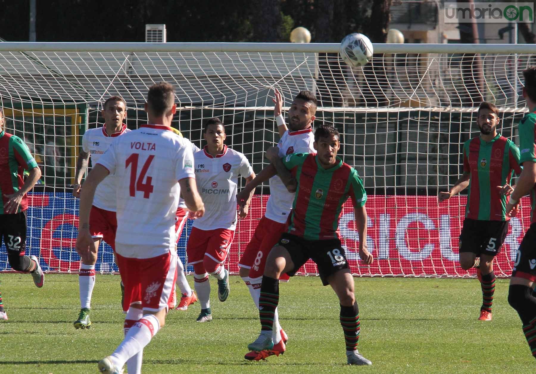 Ternana - Perugia 24 ottobre 2015 (Foto Mirimao) (19)