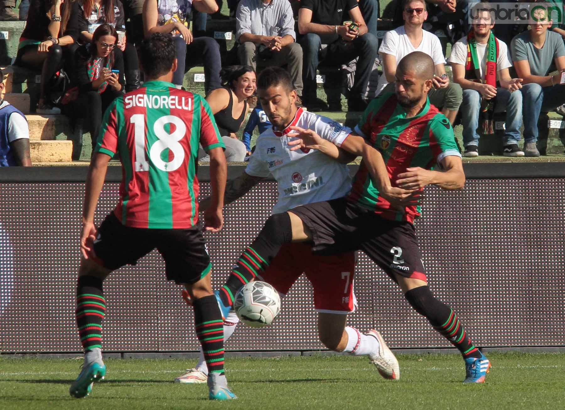 Ternana - Perugia 24 ottobre 2015 (Foto Mirimao) (22)