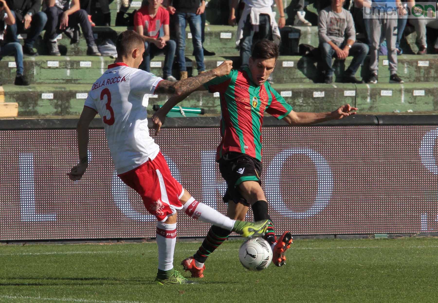 Ternana - Perugia 24 ottobre 2015 (Foto Mirimao) (23)