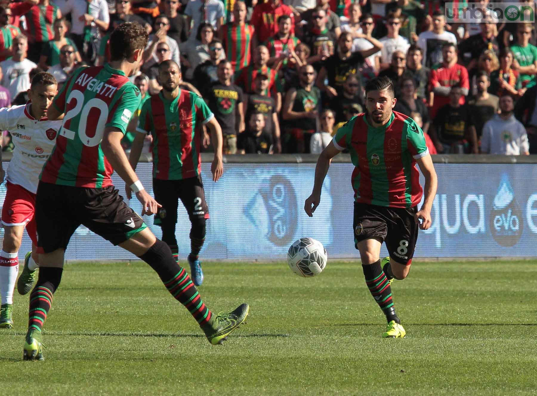 Ternana - Perugia 24 ottobre 2015 (Foto Mirimao) (24)