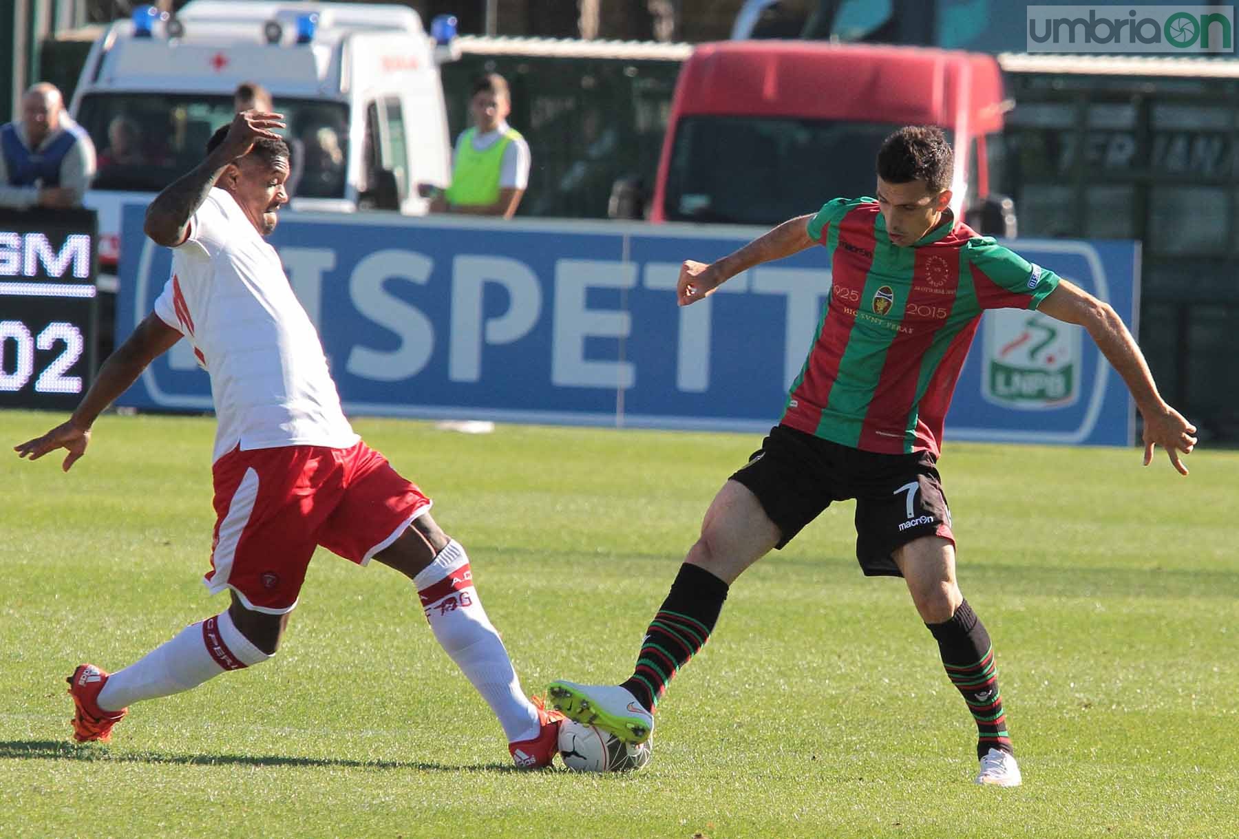 Ternana - Perugia 24 ottobre 2015 (Foto Mirimao) (25)