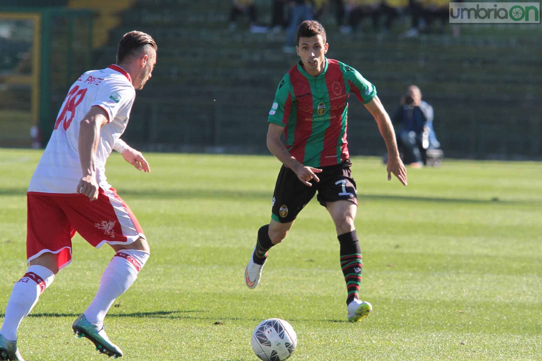 Ternana - Perugia 24 ottobre 2015 (Foto Mirimao) (26)