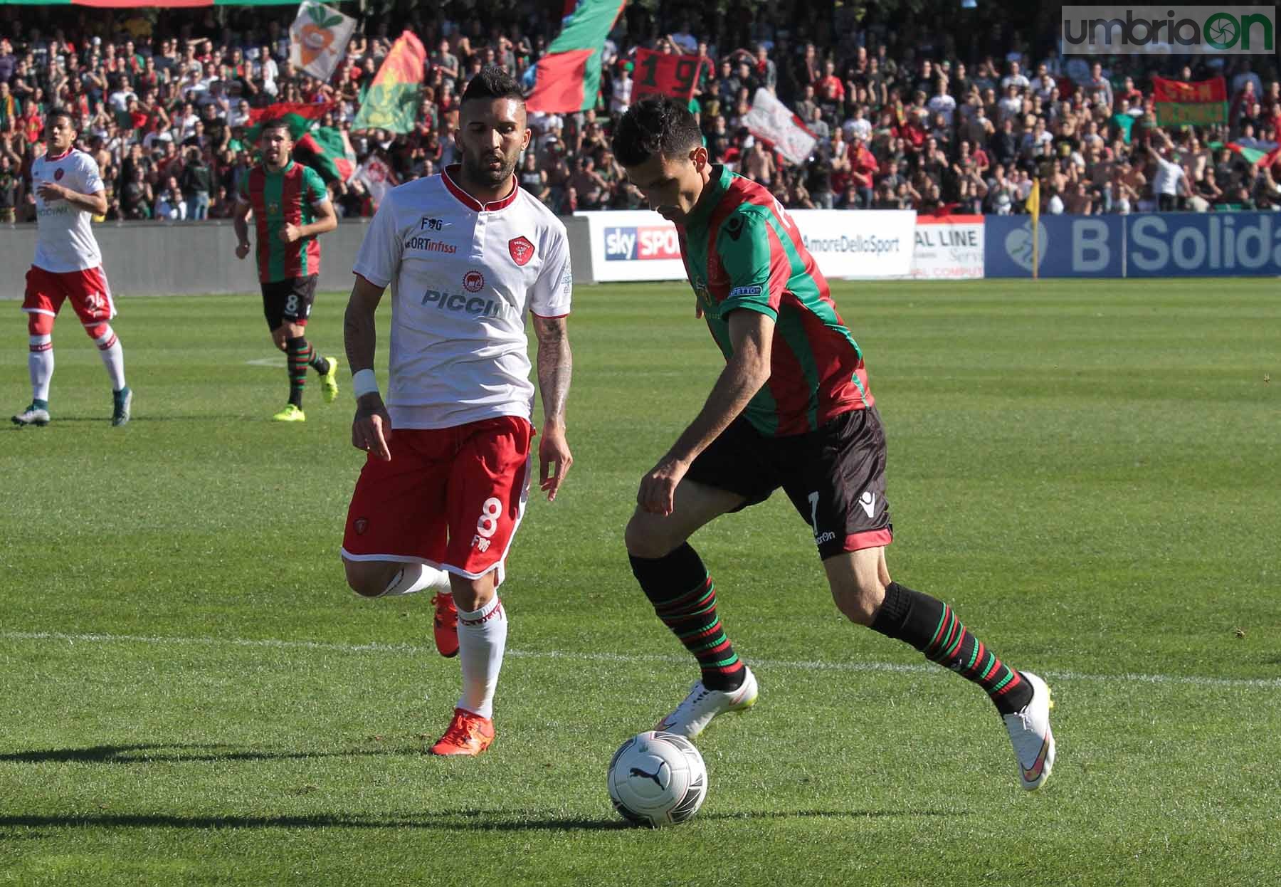 Ternana - Perugia 24 ottobre 2015 (Foto Mirimao) (27)