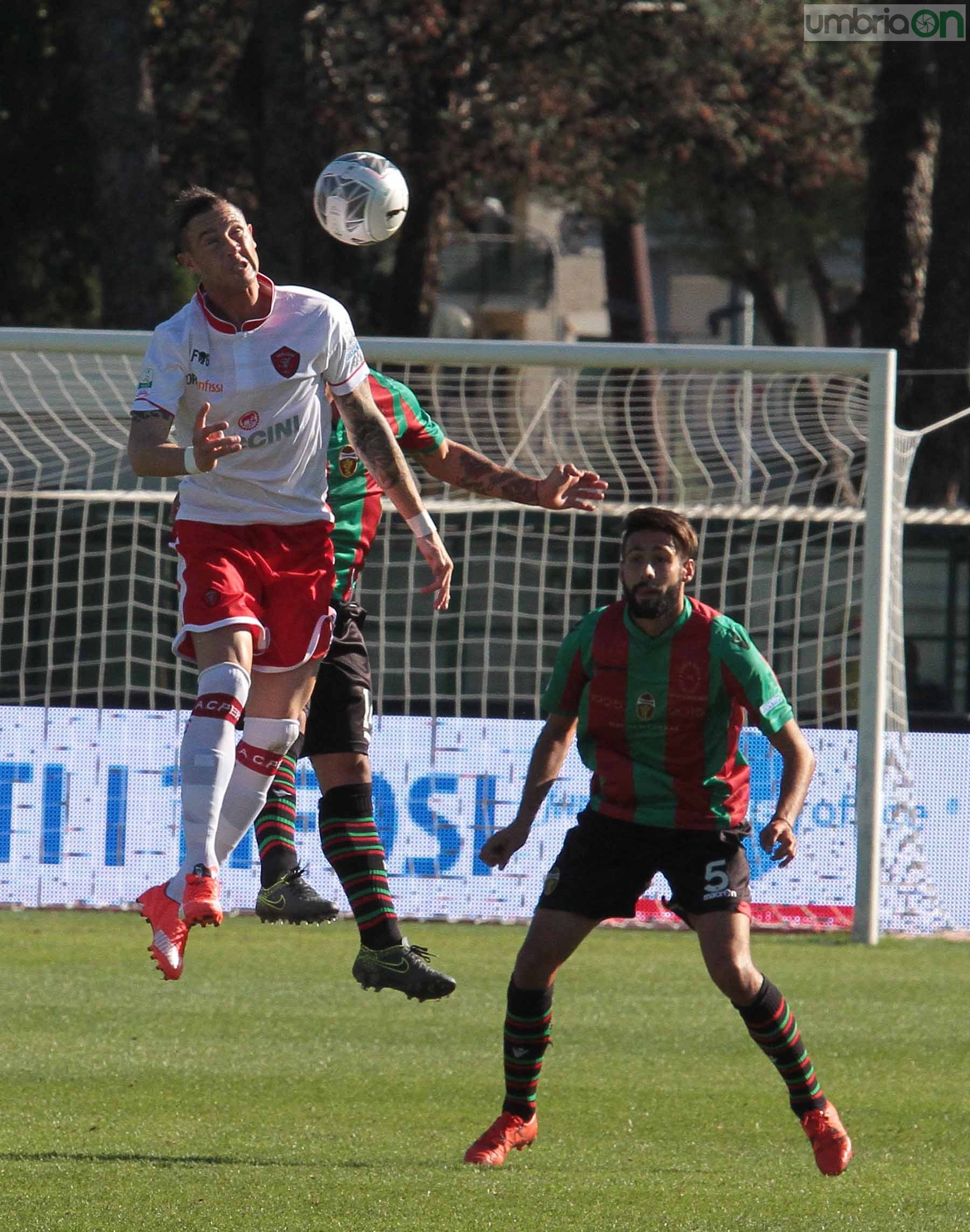 Ternana - Perugia 24 ottobre 2015 (Foto Mirimao) (30)