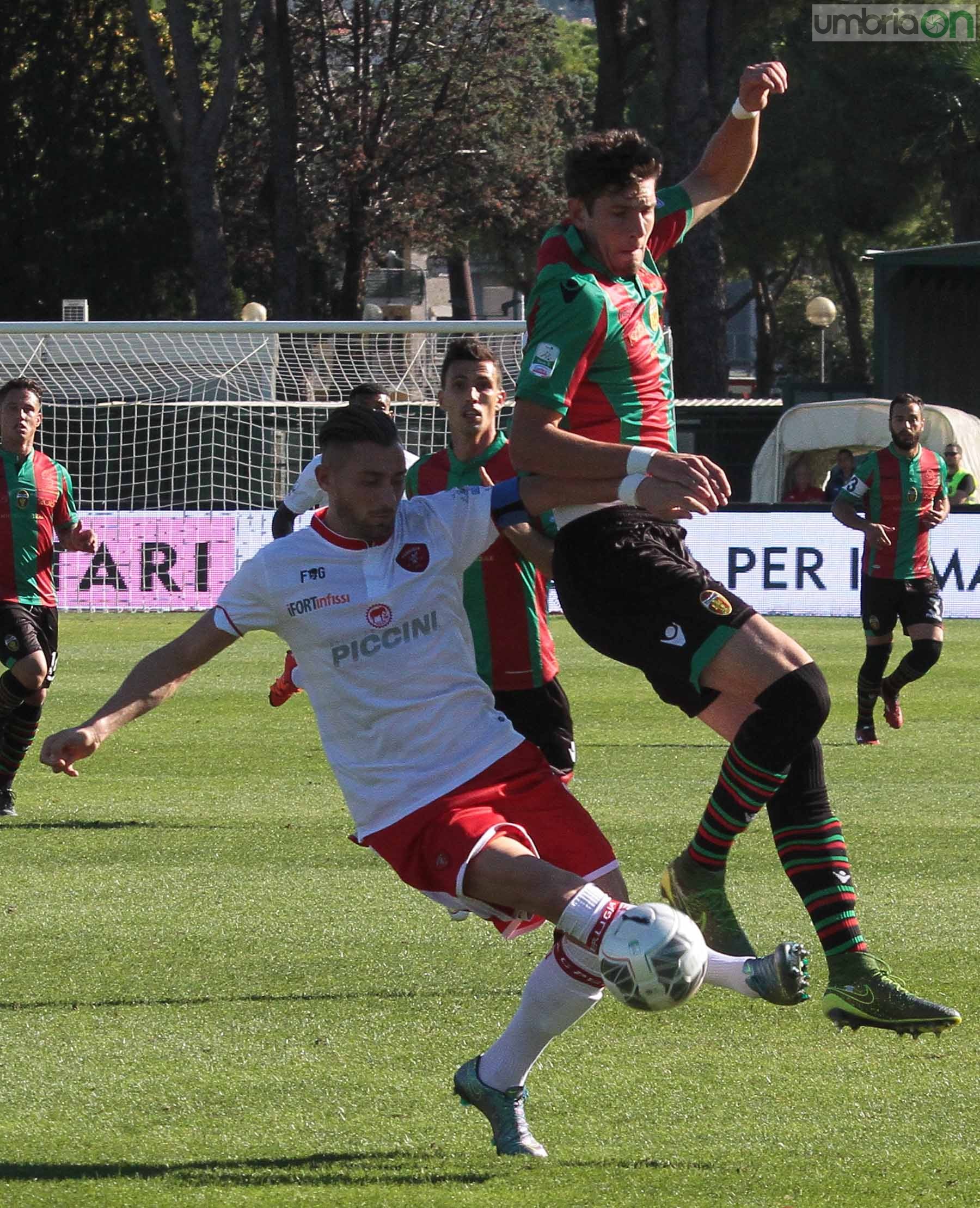 Ternana - Perugia 24 ottobre 2015 (Foto Mirimao) (31)