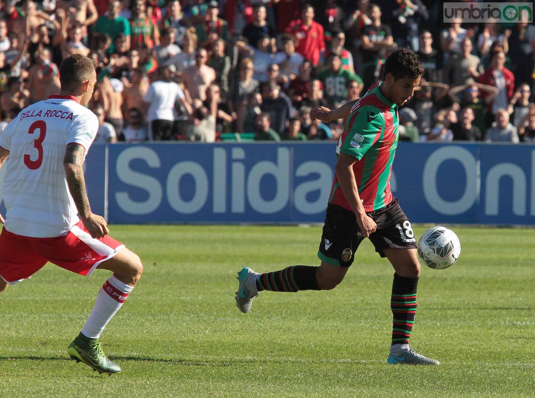 Ternana - Perugia 24 ottobre 2015 (Foto Mirimao) (32)