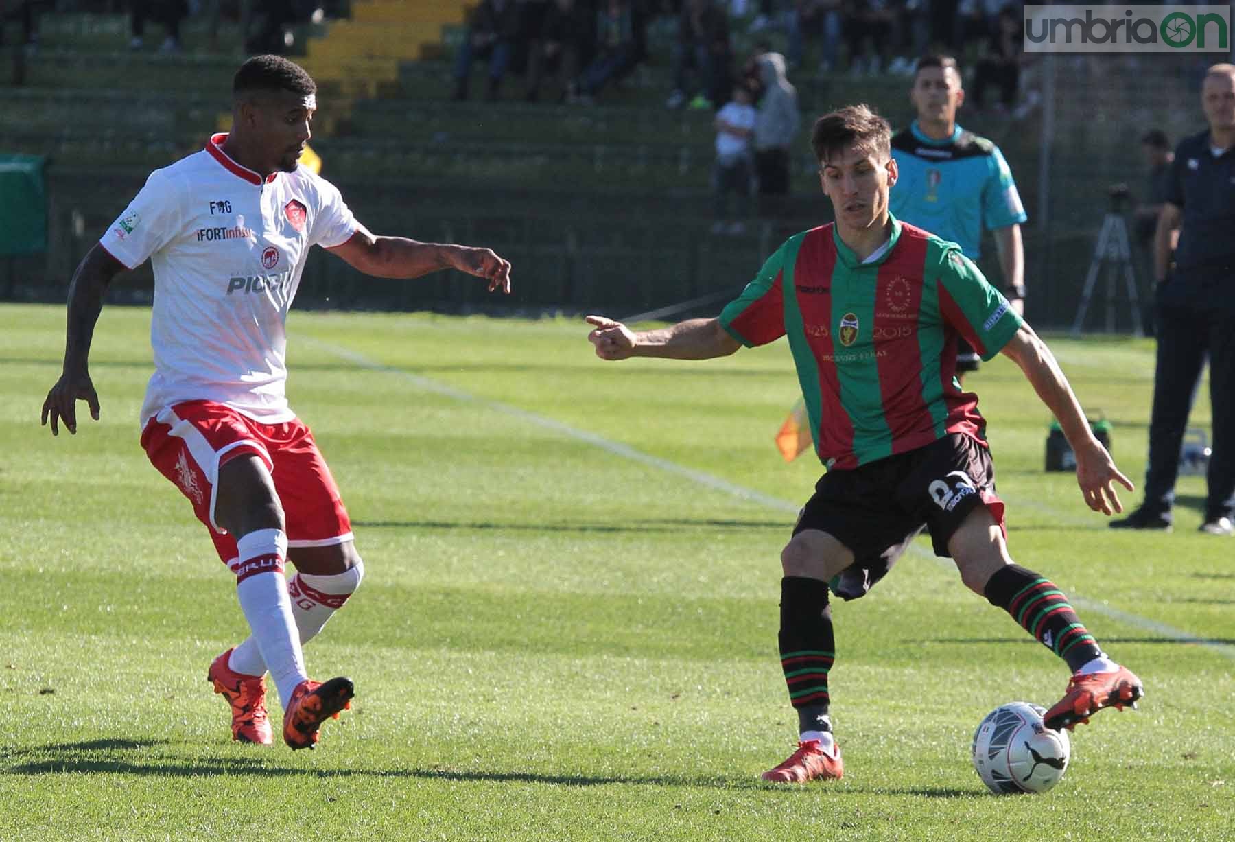 Ternana - Perugia 24 ottobre 2015 (Foto Mirimao) (33)