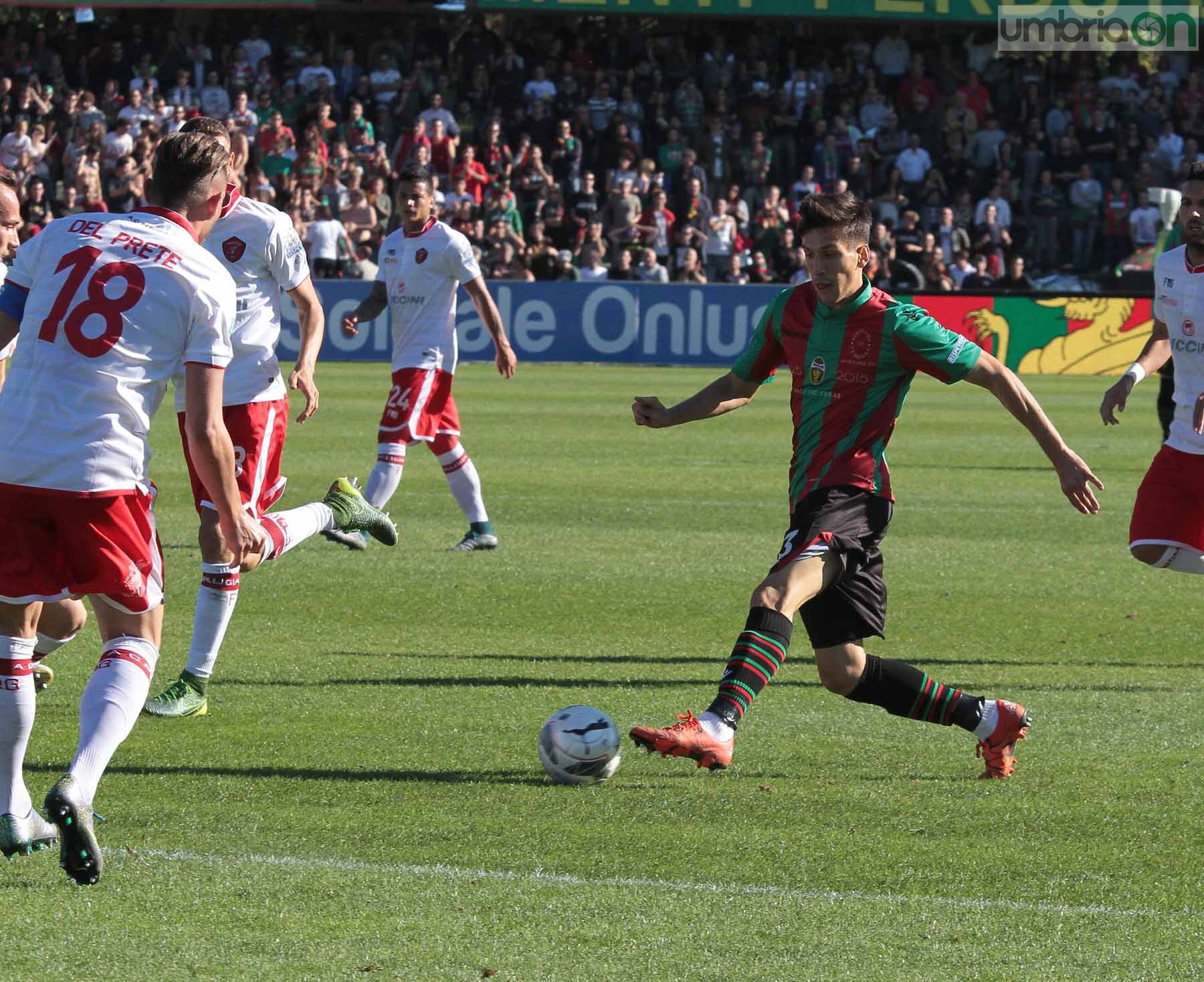 Ternana - Perugia 24 ottobre 2015 (Foto Mirimao) (34)