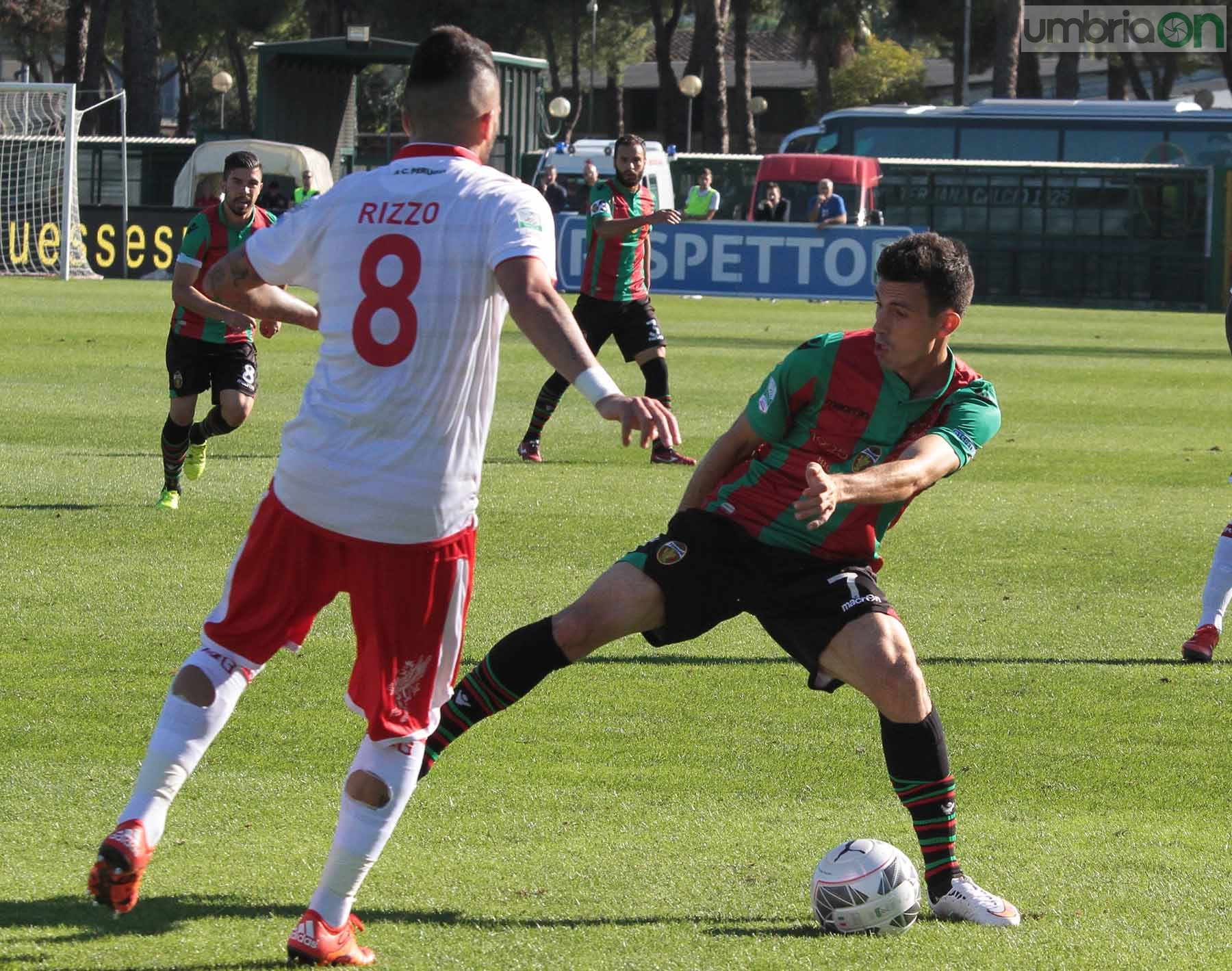 Ternana - Perugia 24 ottobre 2015 (Foto Mirimao) (36)