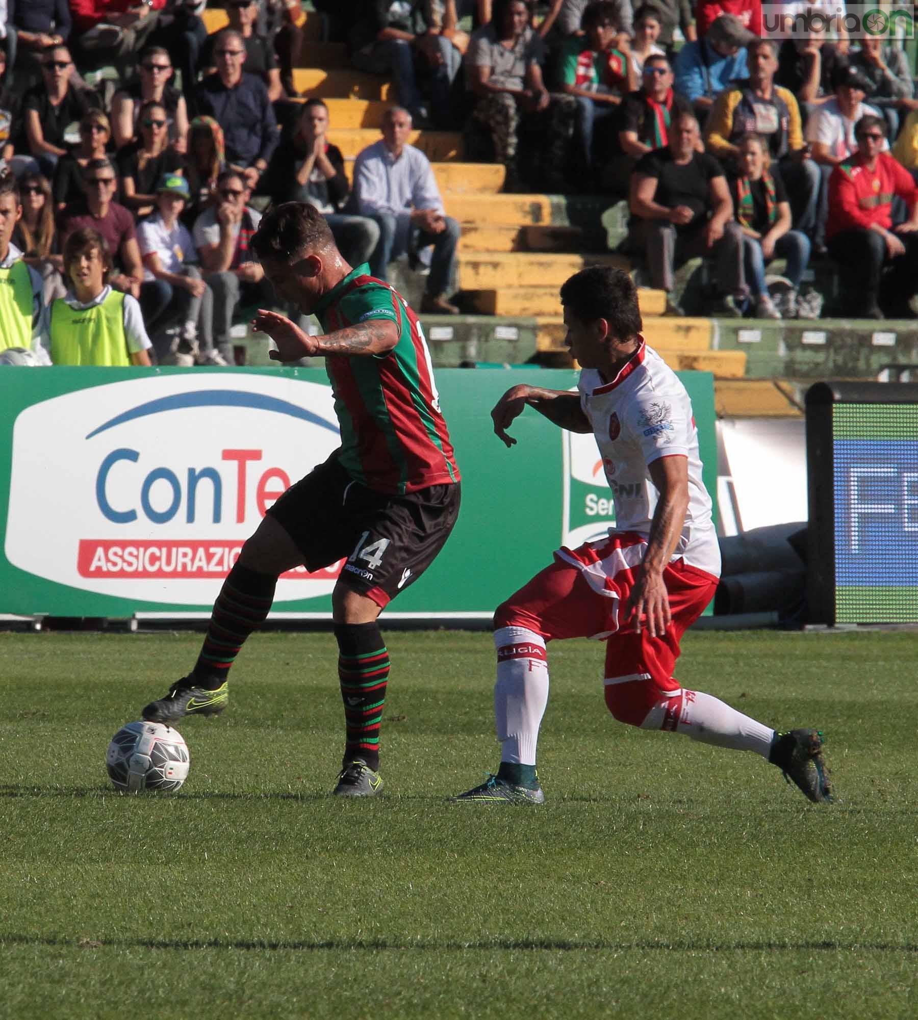 Ternana - Perugia 24 ottobre 2015 (Foto Mirimao) (37)