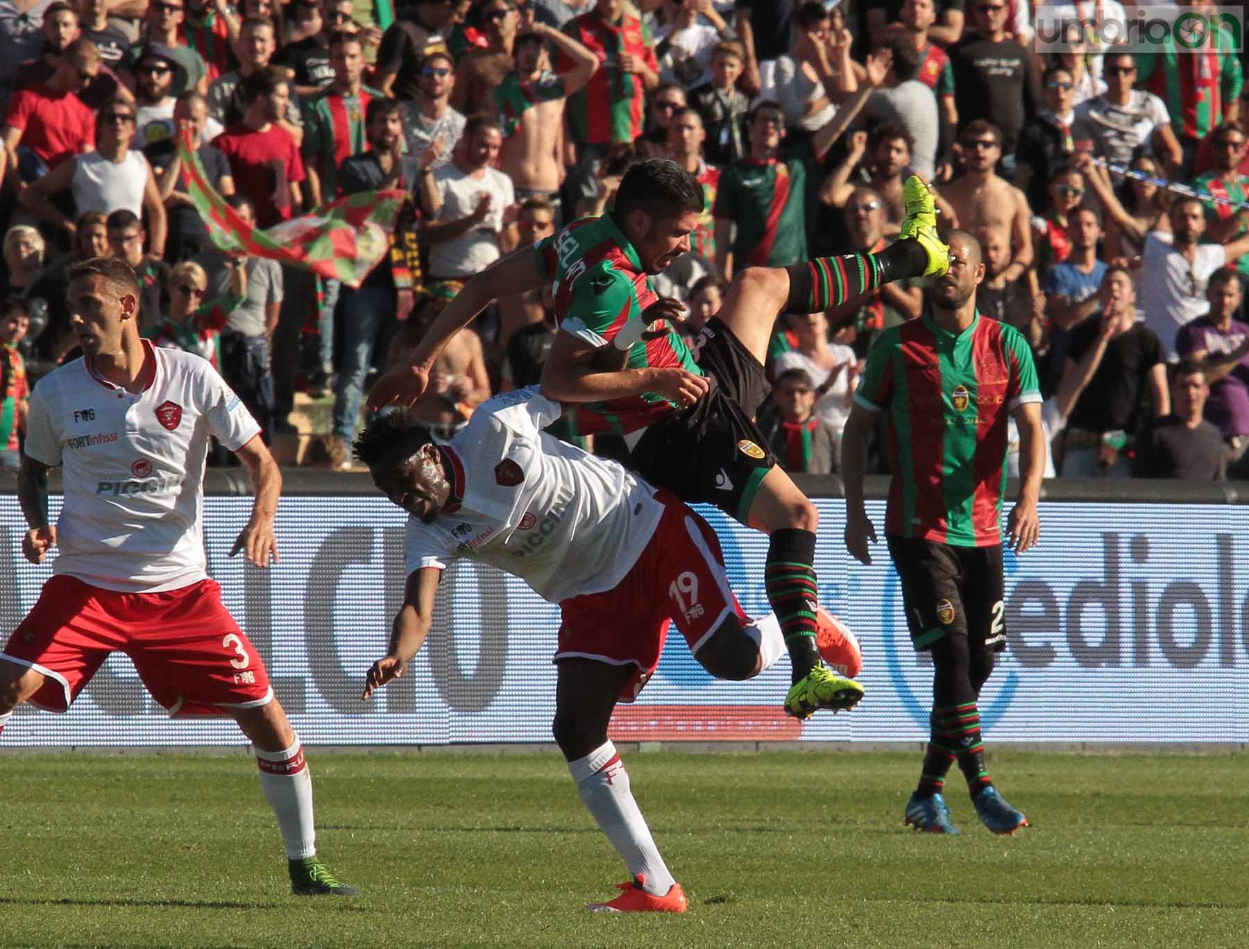 Ternana - Perugia 24 ottobre 2015 (Foto Mirimao) (39)