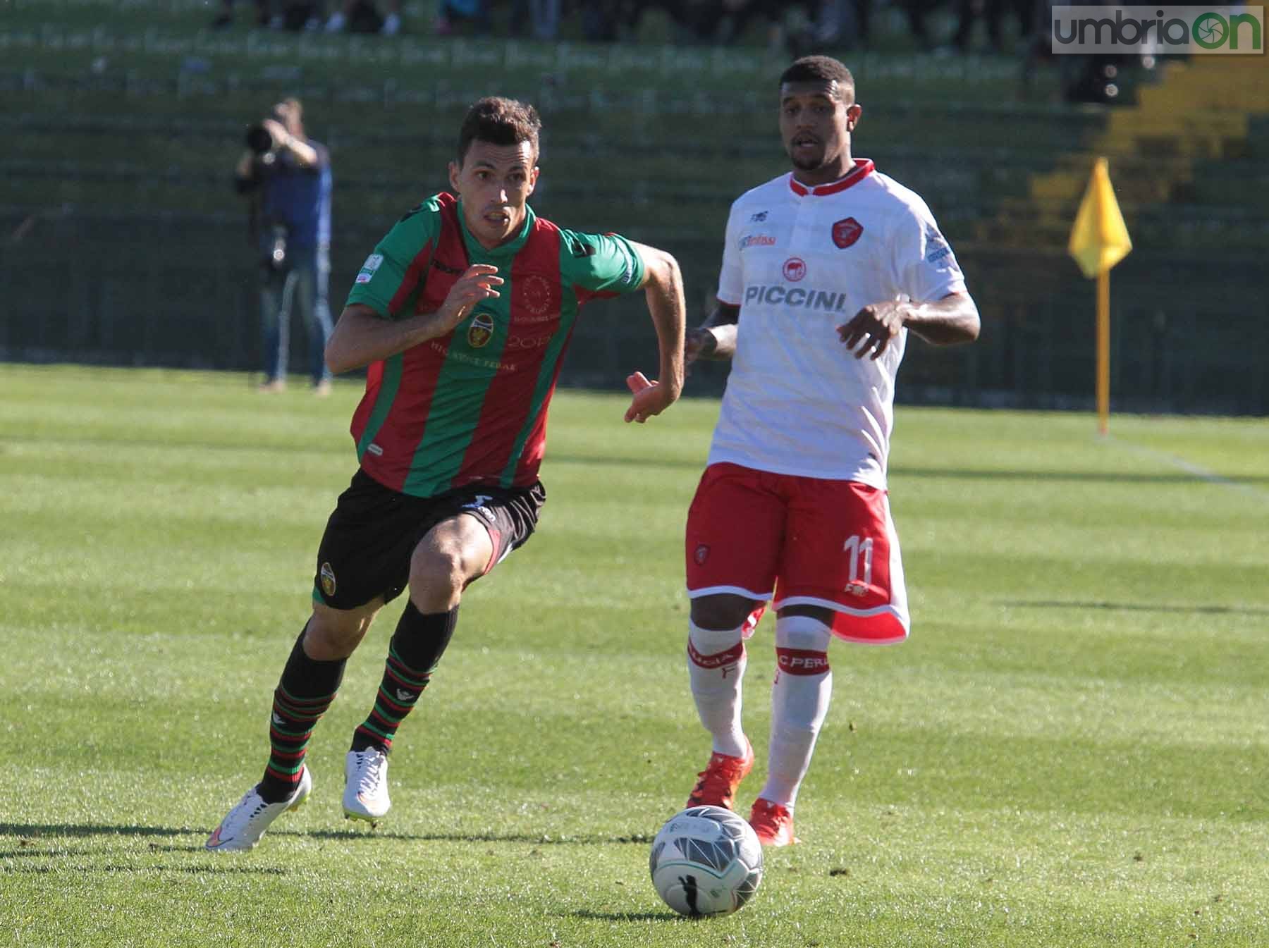 Ternana - Perugia 24 ottobre 2015 (Foto Mirimao) (41)