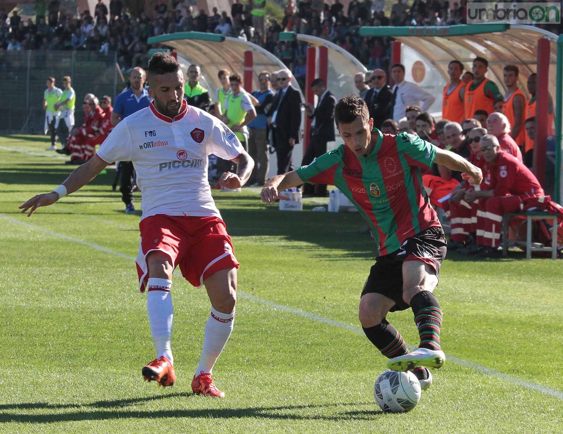 Ternana - Perugia 24 ottobre 2015 (Foto Mirimao) (42)