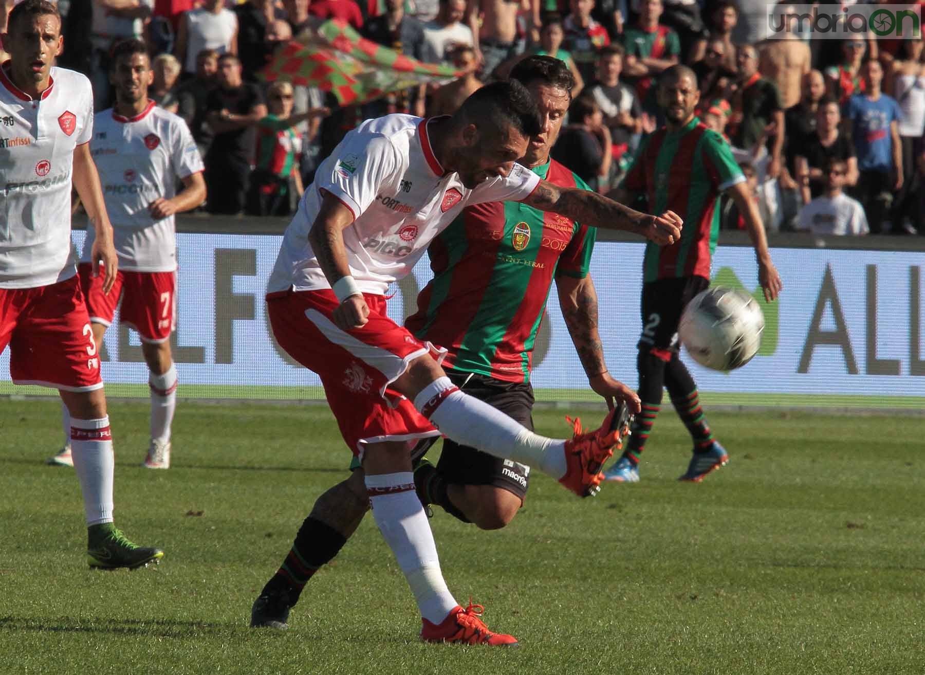 Ternana - Perugia 24 ottobre 2015 (Foto Mirimao) (45)