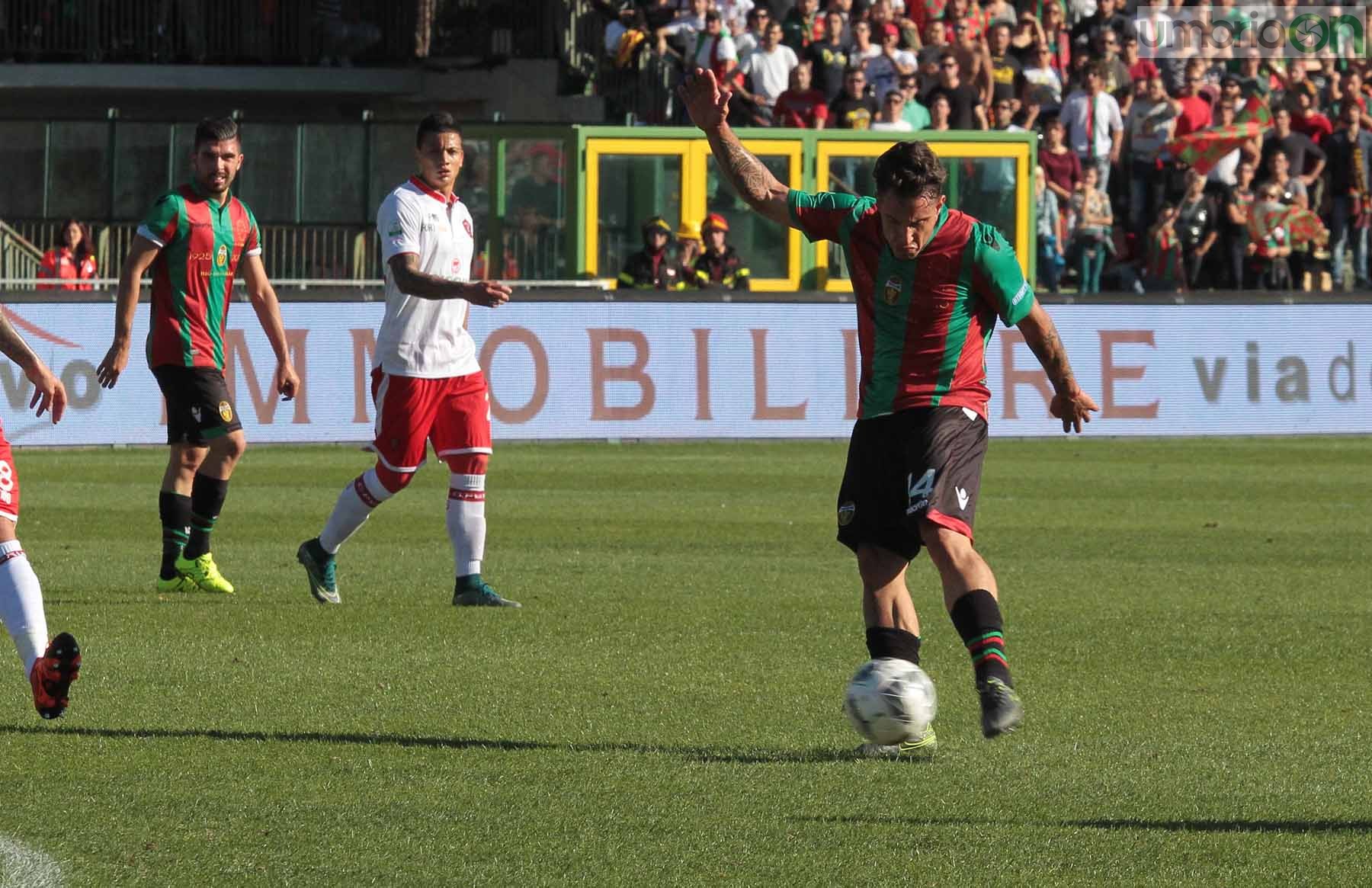 Ternana - Perugia 24 ottobre 2015 (Foto Mirimao) (46)