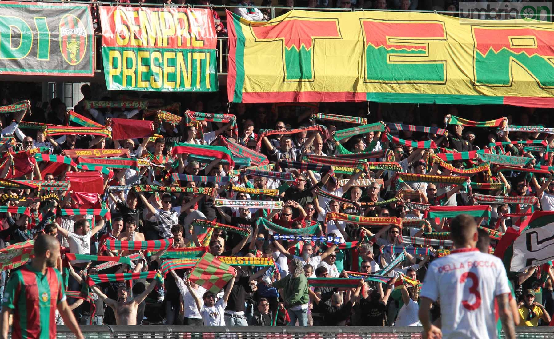 Ternana - Perugia 24 ottobre 2015 (Foto Mirimao) (47)