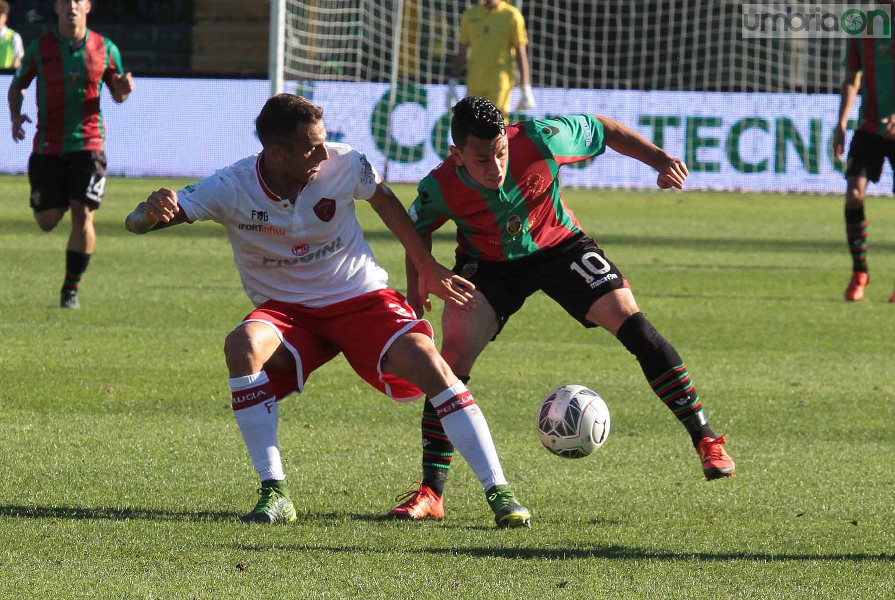 Ternana - Perugia 24 ottobre 2015 (Foto Mirimao) (50)