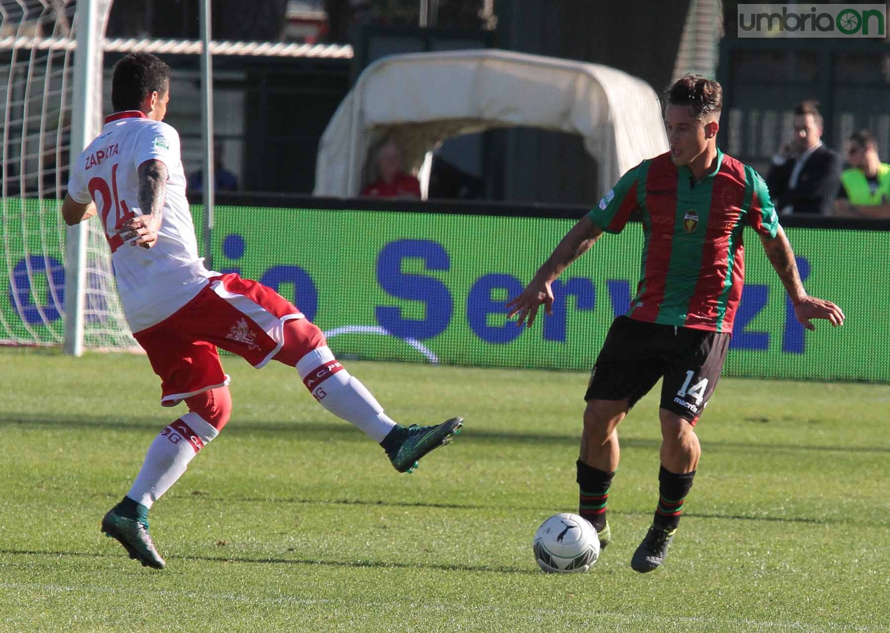 Ternana - Perugia 24 ottobre 2015 (Foto Mirimao) (51)