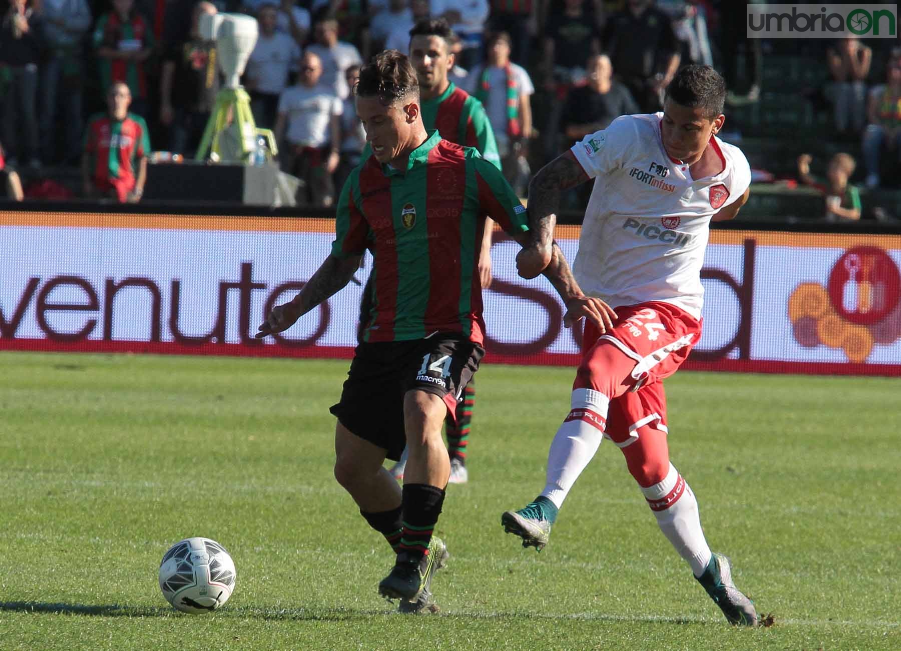 Ternana - Perugia 24 ottobre 2015 (Foto Mirimao) (52)