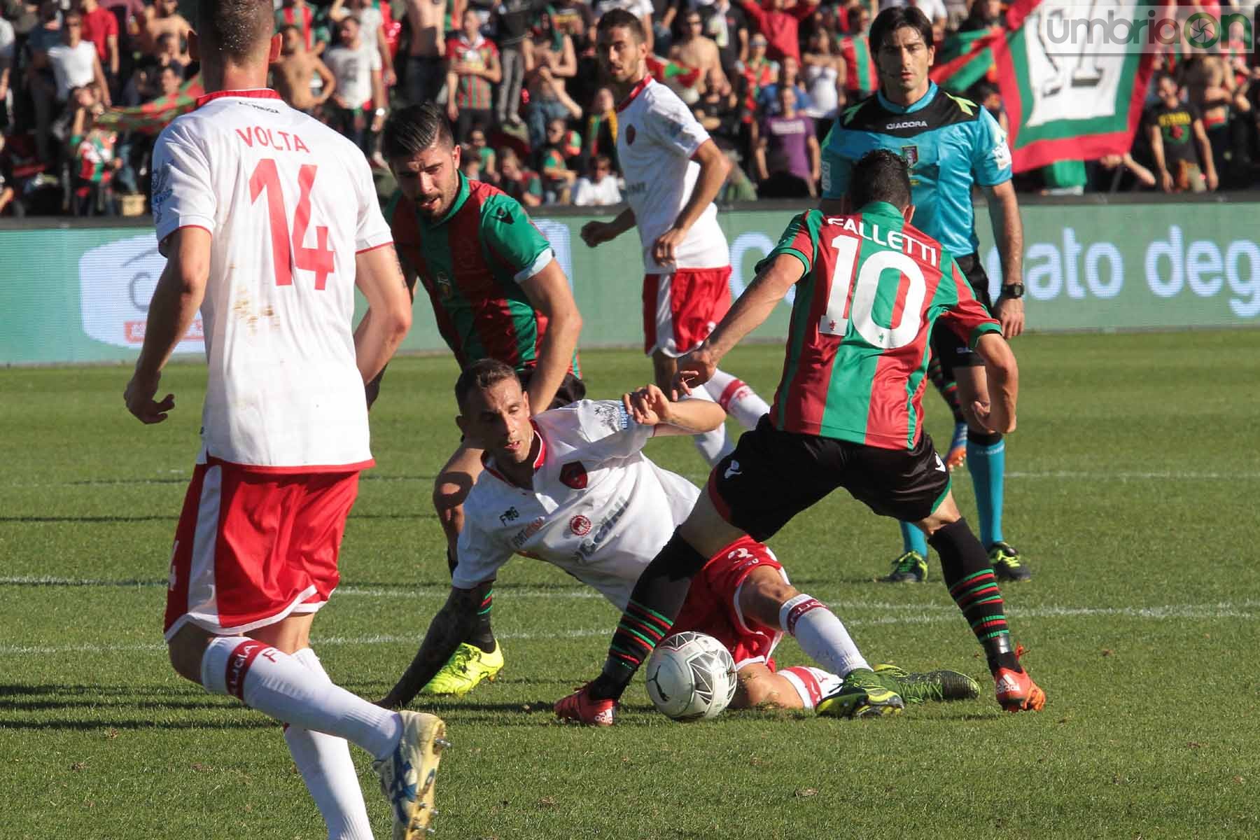 Ternana - Perugia 24 ottobre 2015 (Foto Mirimao) (54)