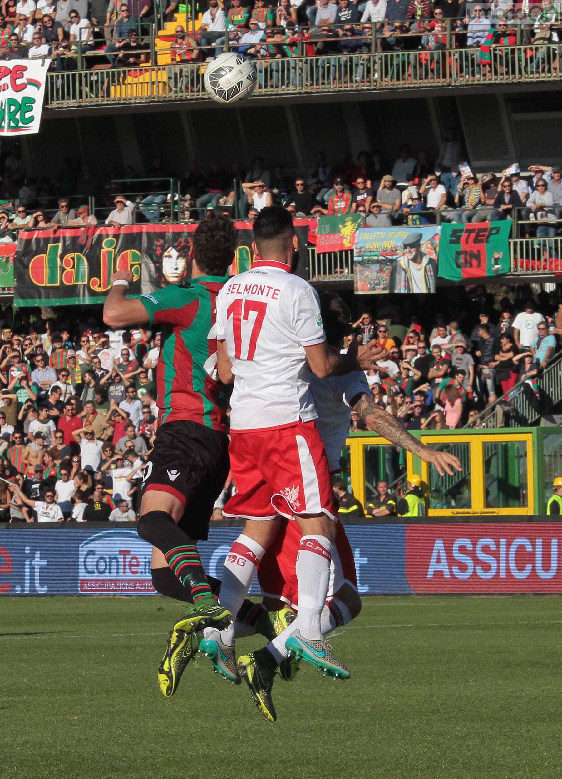 Ternana - Perugia 24 ottobre 2015 (Foto Mirimao) (55)