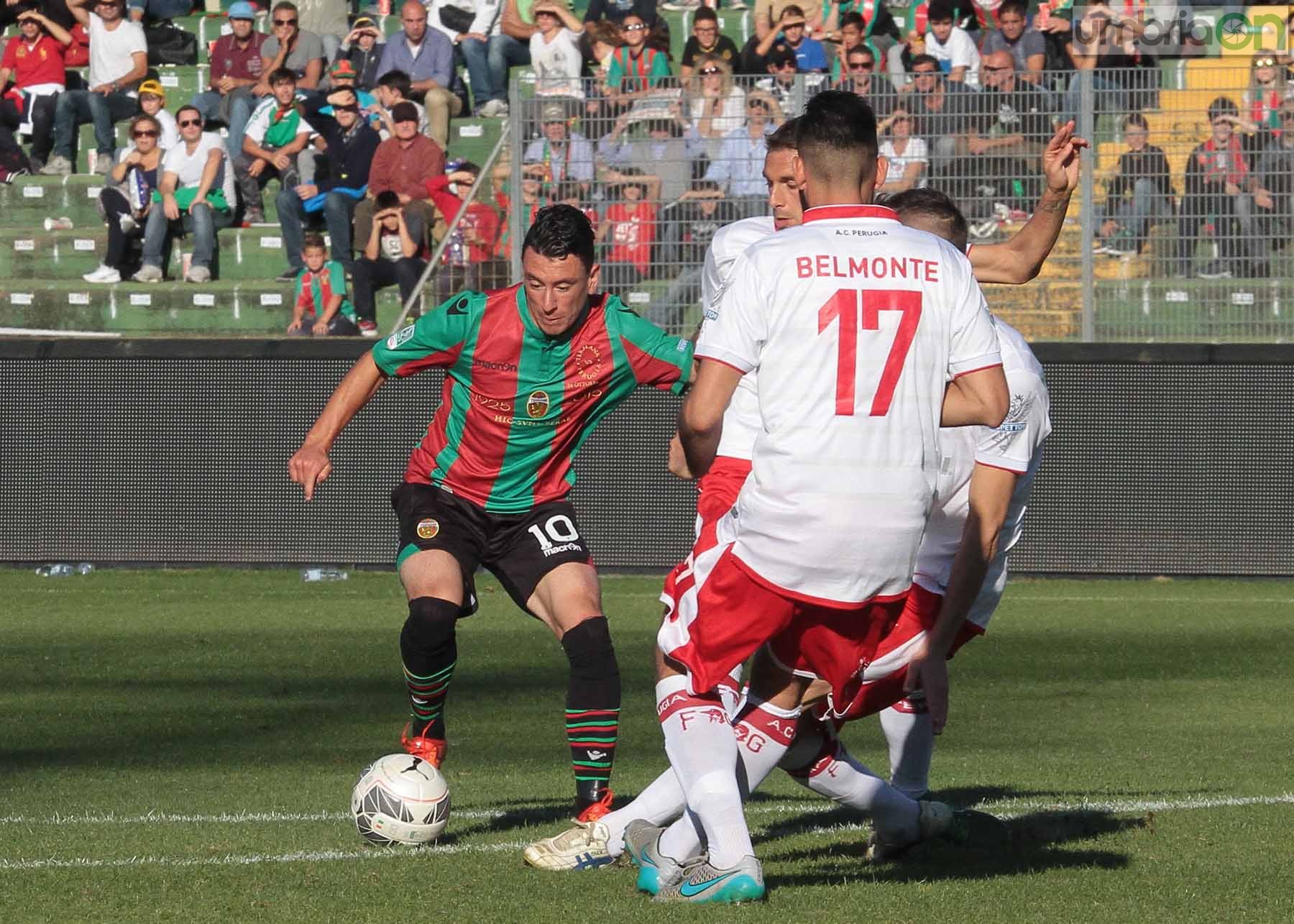 Ternana - Perugia 24 ottobre 2015 (Foto Mirimao) (58)