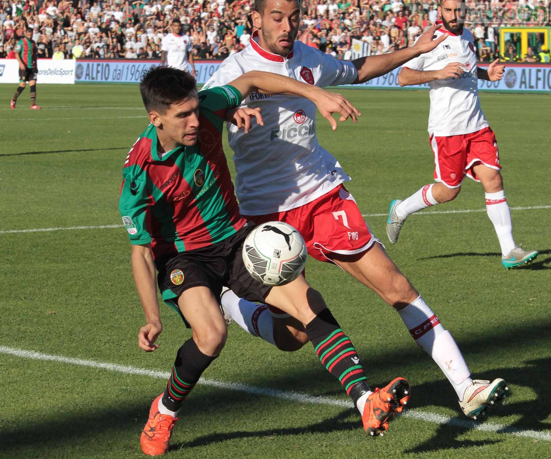 Ternana - Perugia 24 ottobre 2015 (Foto Mirimao) (59)