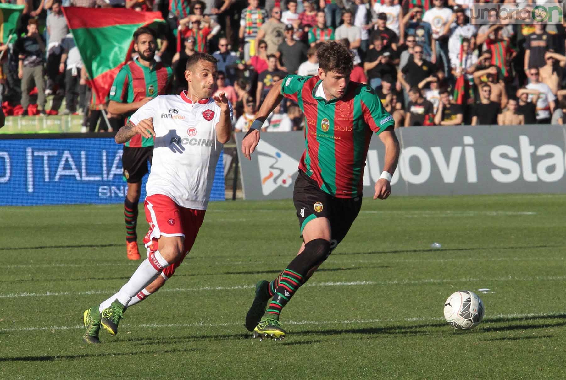 Ternana - Perugia 24 ottobre 2015 (Foto Mirimao) (61)