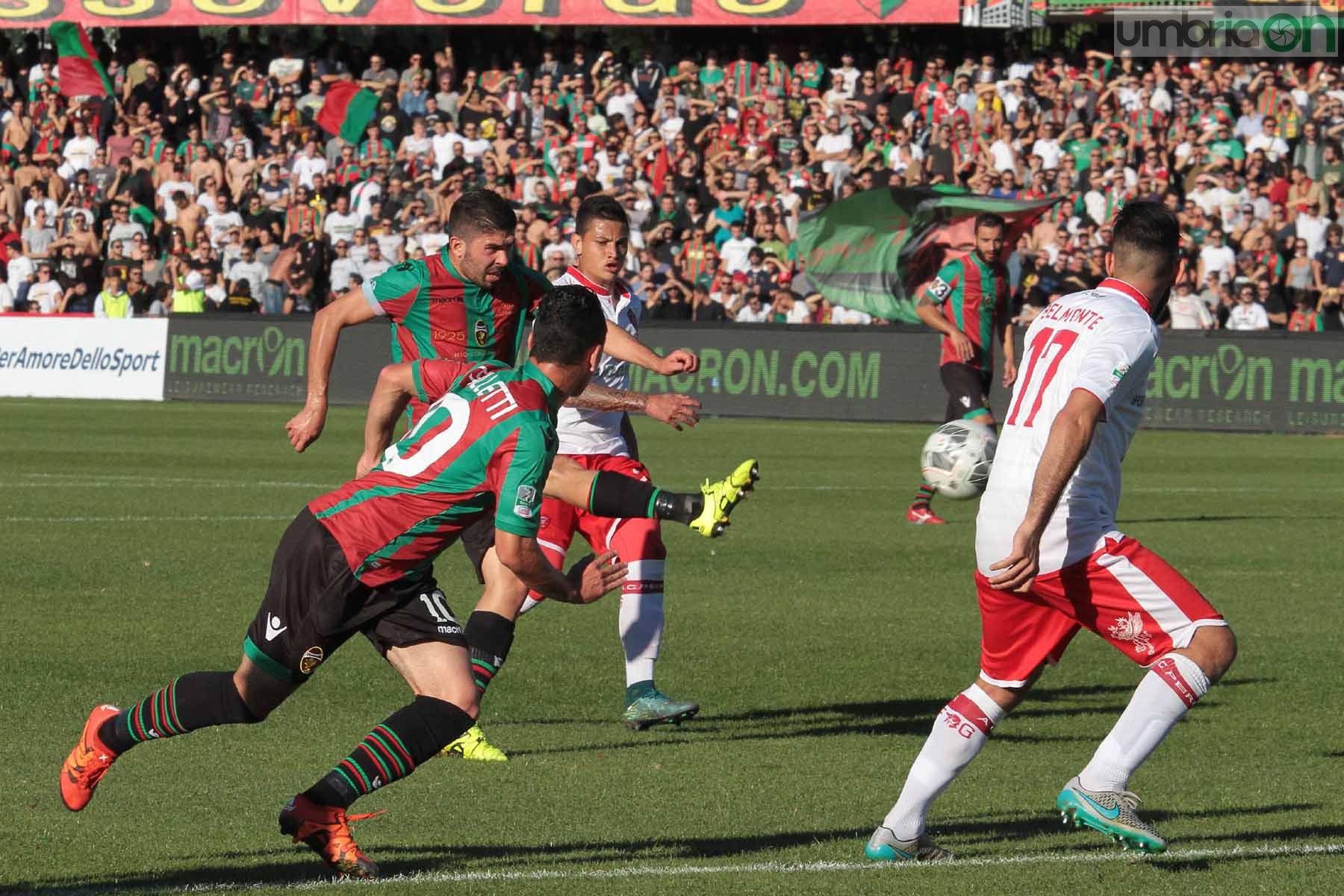 Ternana - Perugia 24 ottobre 2015 (Foto Mirimao) (62)