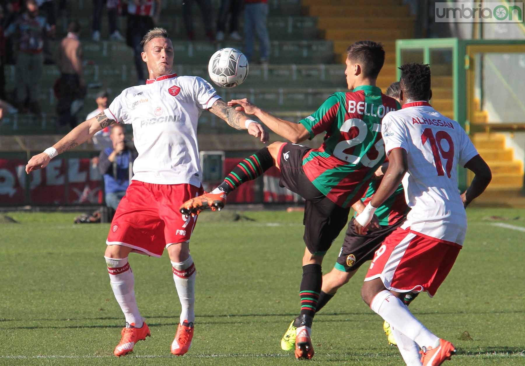 Ternana - Perugia 24 ottobre 2015 (Foto Mirimao) (63)