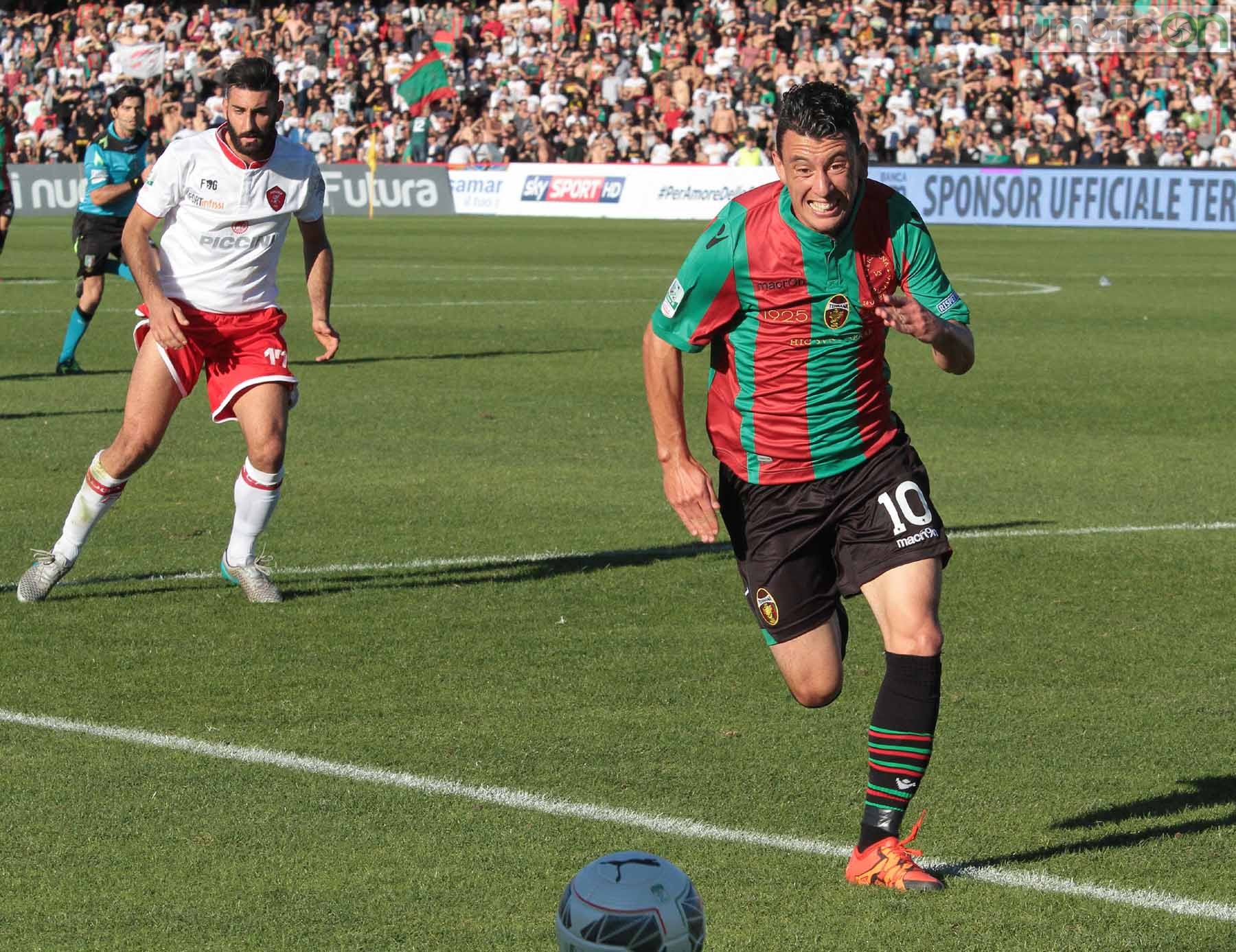 Ternana - Perugia 24 ottobre 2015 (Foto Mirimao) (64)