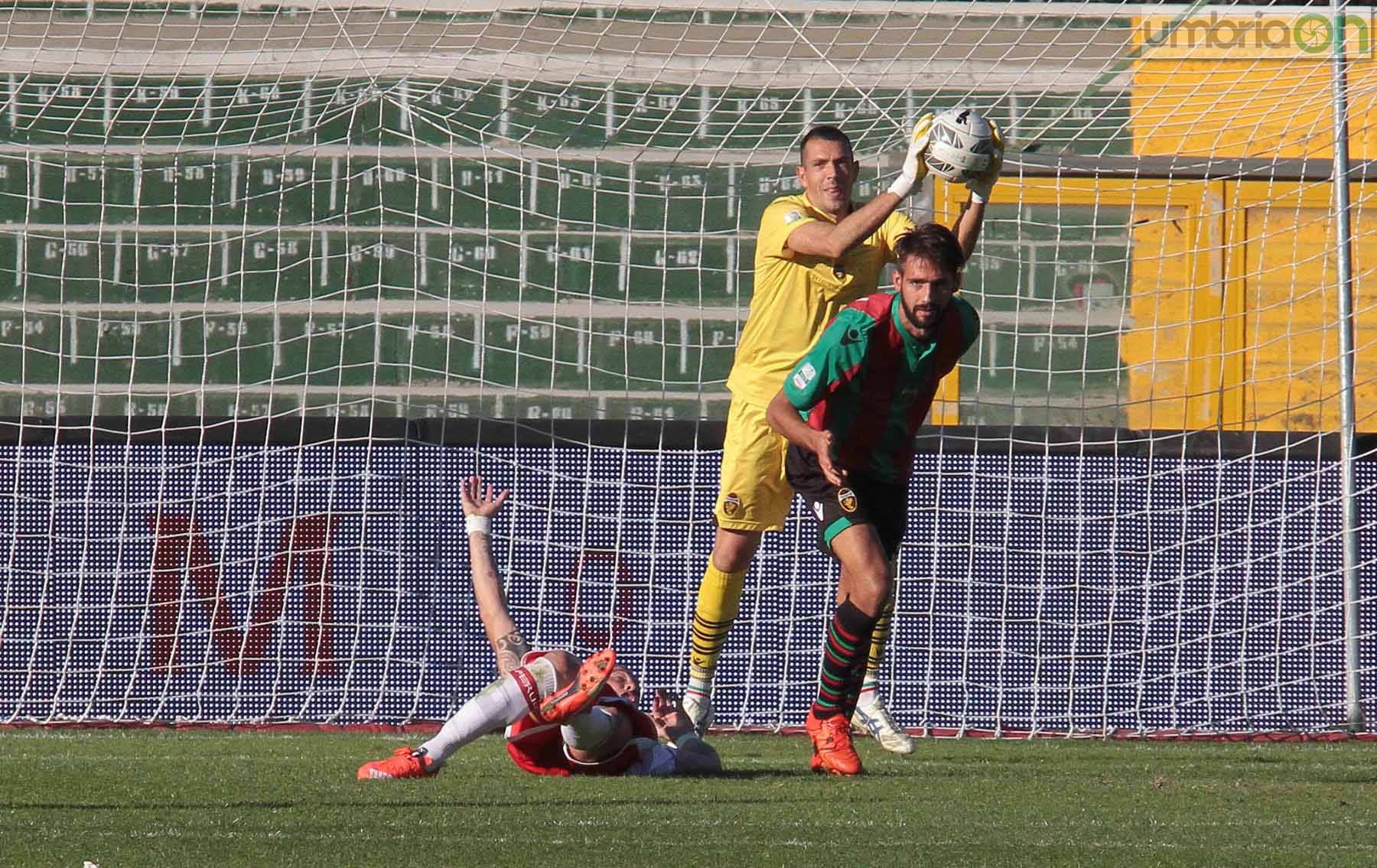 Ternana - Perugia 24 ottobre 2015 (Foto Mirimao) (65)