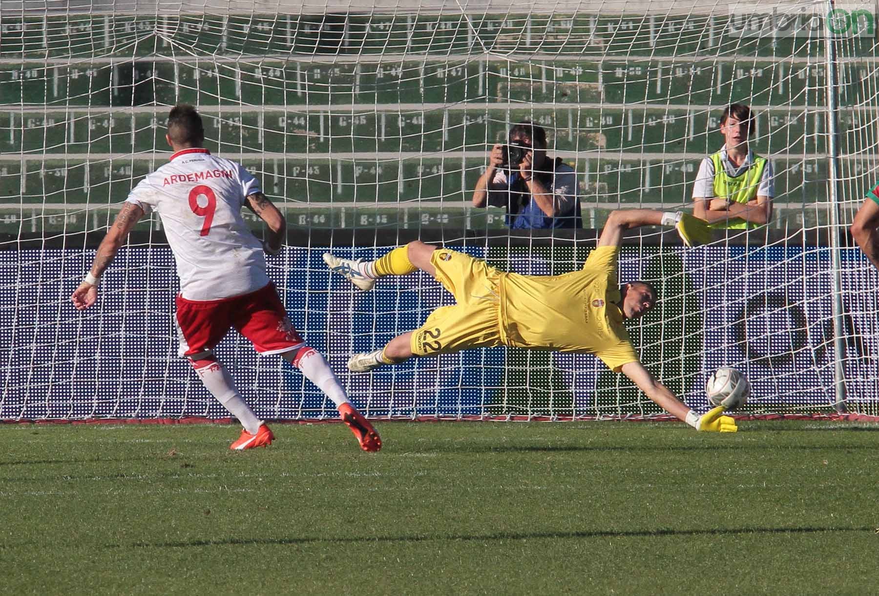 Ternana - Perugia 24 ottobre 2015 (Foto Mirimao) (66)