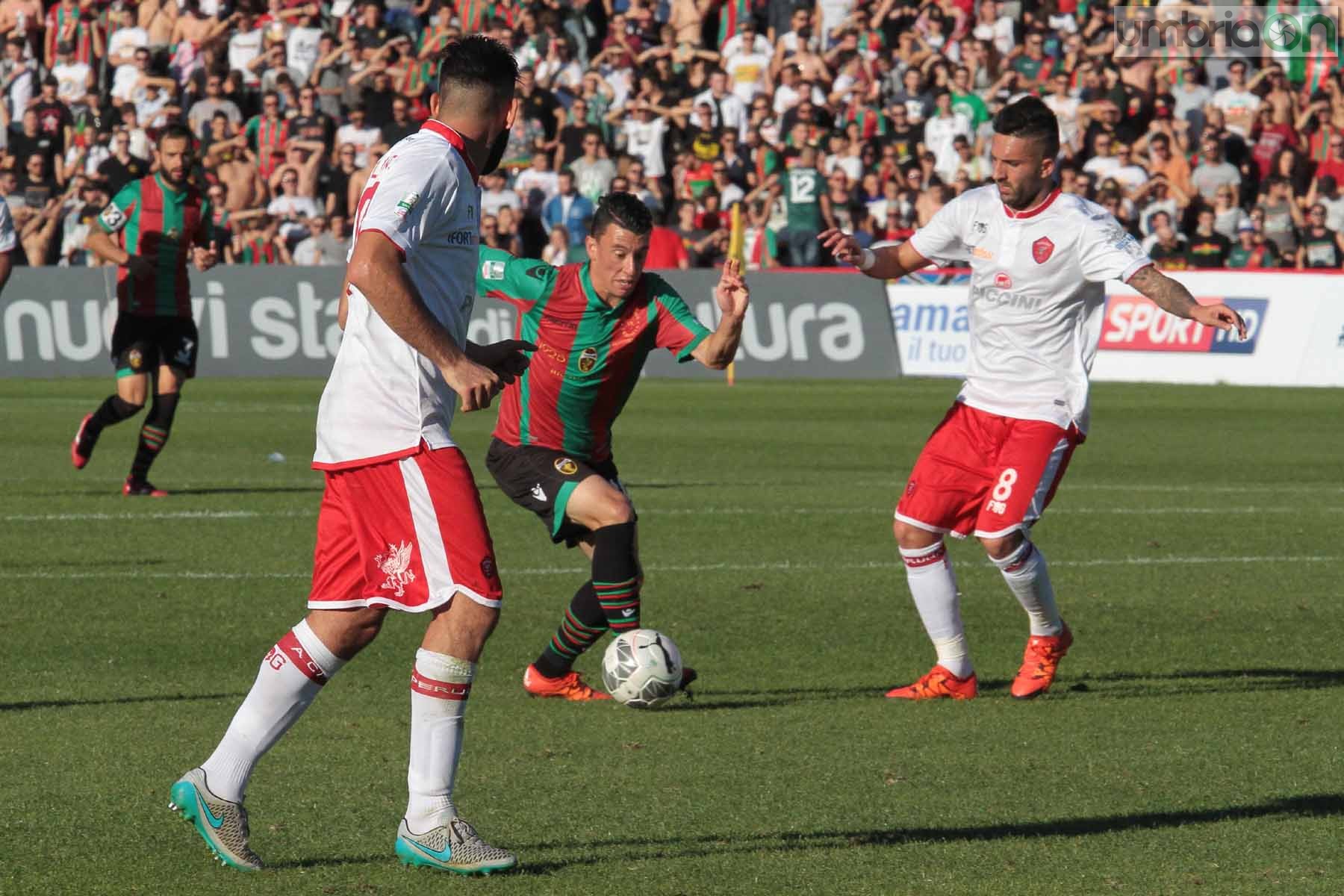 Ternana - Perugia 24 ottobre 2015 (Foto Mirimao) (67)