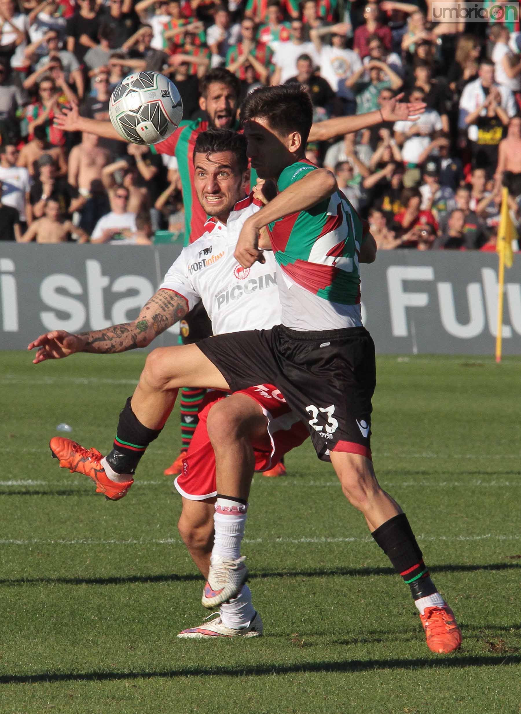 Ternana - Perugia 24 ottobre 2015 (Foto Mirimao) (69)