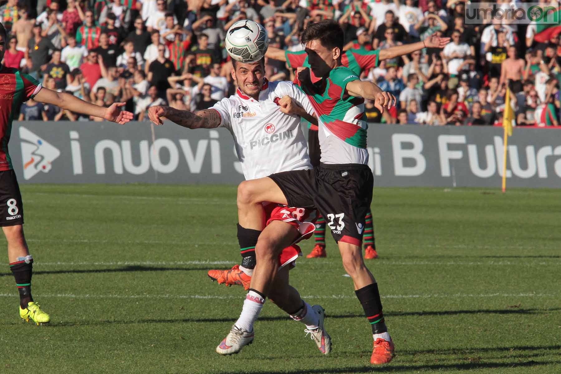 Ternana - Perugia 24 ottobre 2015 (Foto Mirimao) (70)