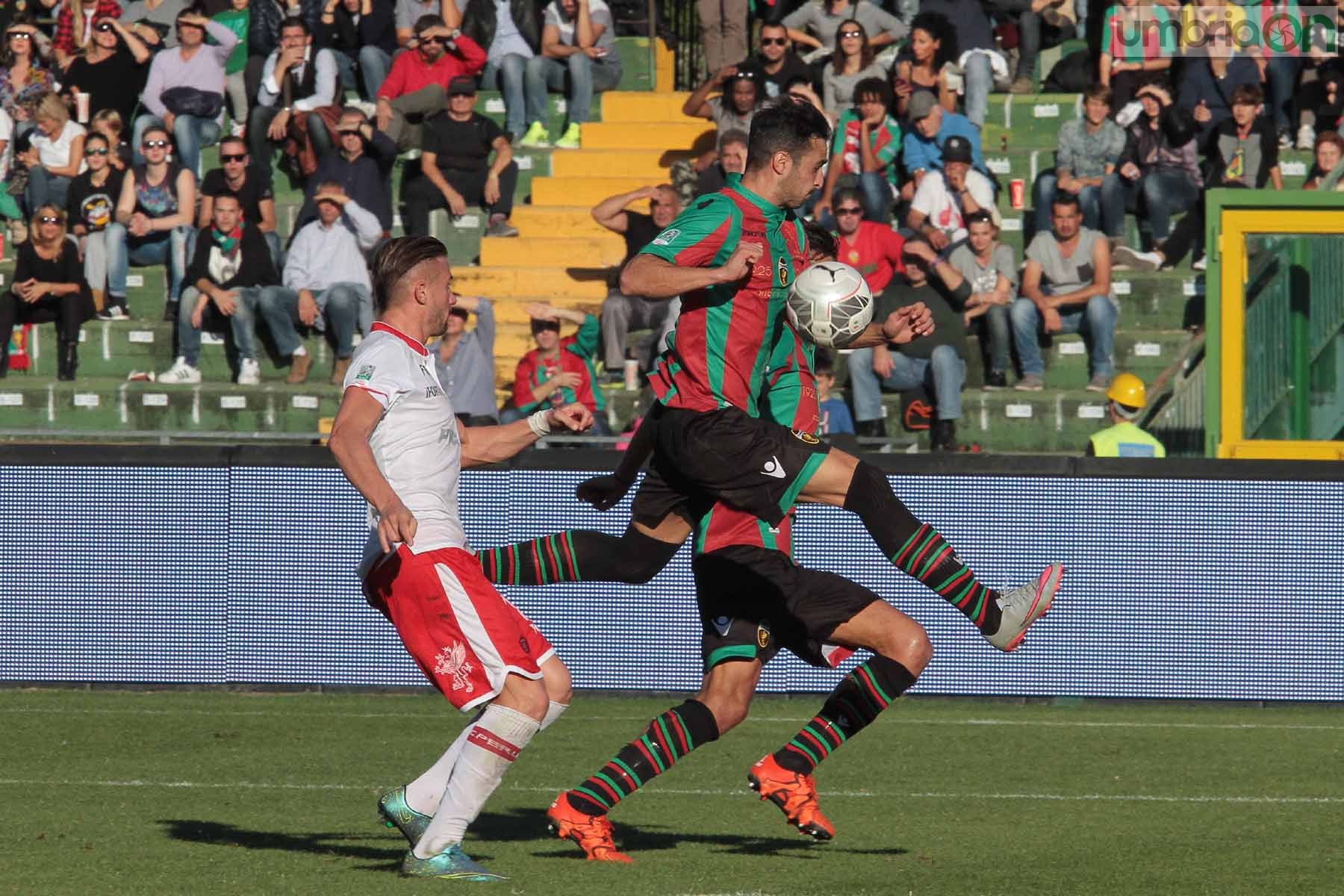 Ternana - Perugia 24 ottobre 2015 (Foto Mirimao) (71)