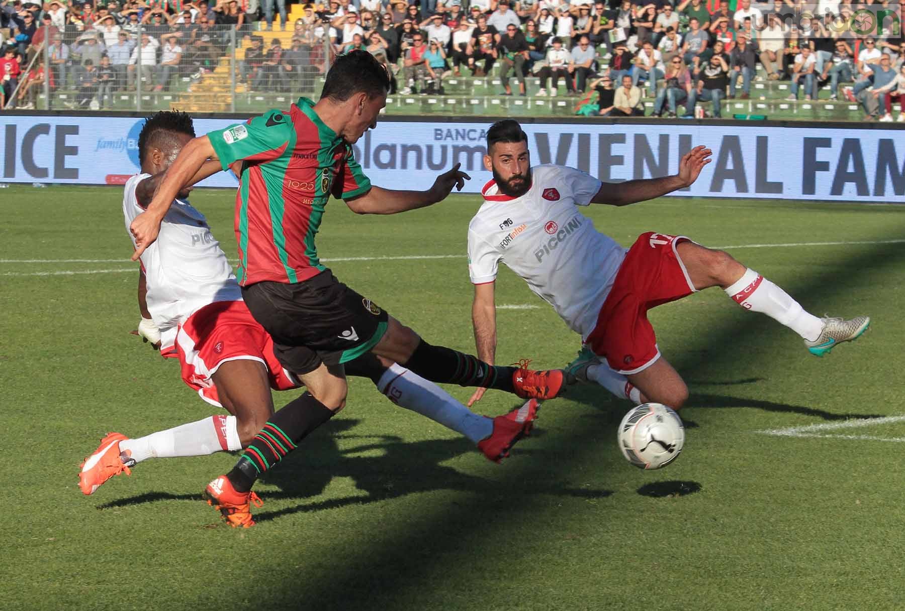 Ternana - Perugia 24 ottobre 2015 (Foto Mirimao) (72)