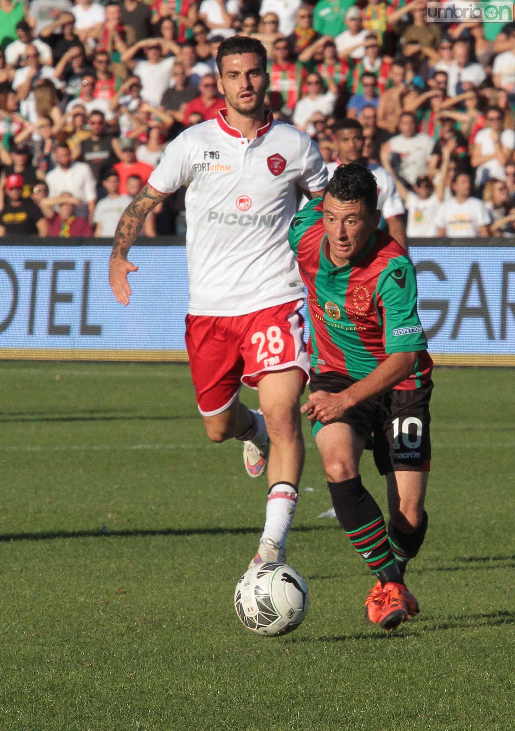 Ternana - Perugia 24 ottobre 2015 (Foto Mirimao) (73)