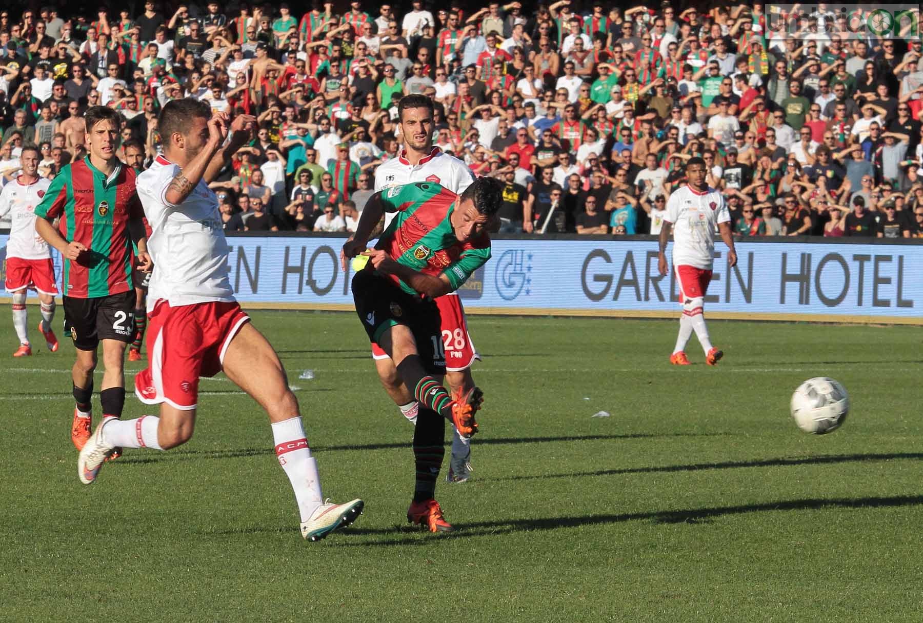 Ternana - Perugia 24 ottobre 2015 (Foto Mirimao) (74)