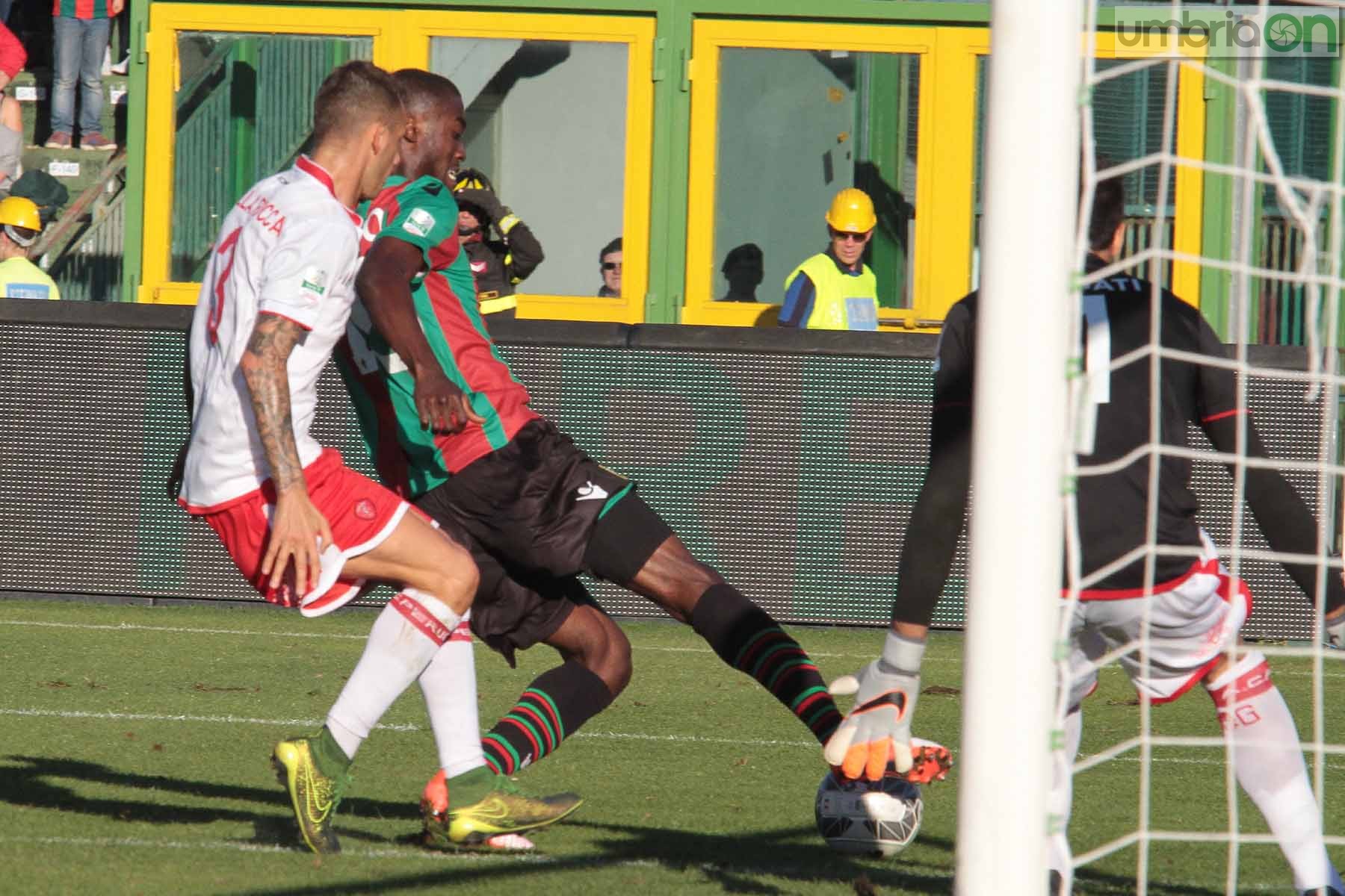 Ternana - Perugia 24 ottobre 2015 (Foto Mirimao) (76)