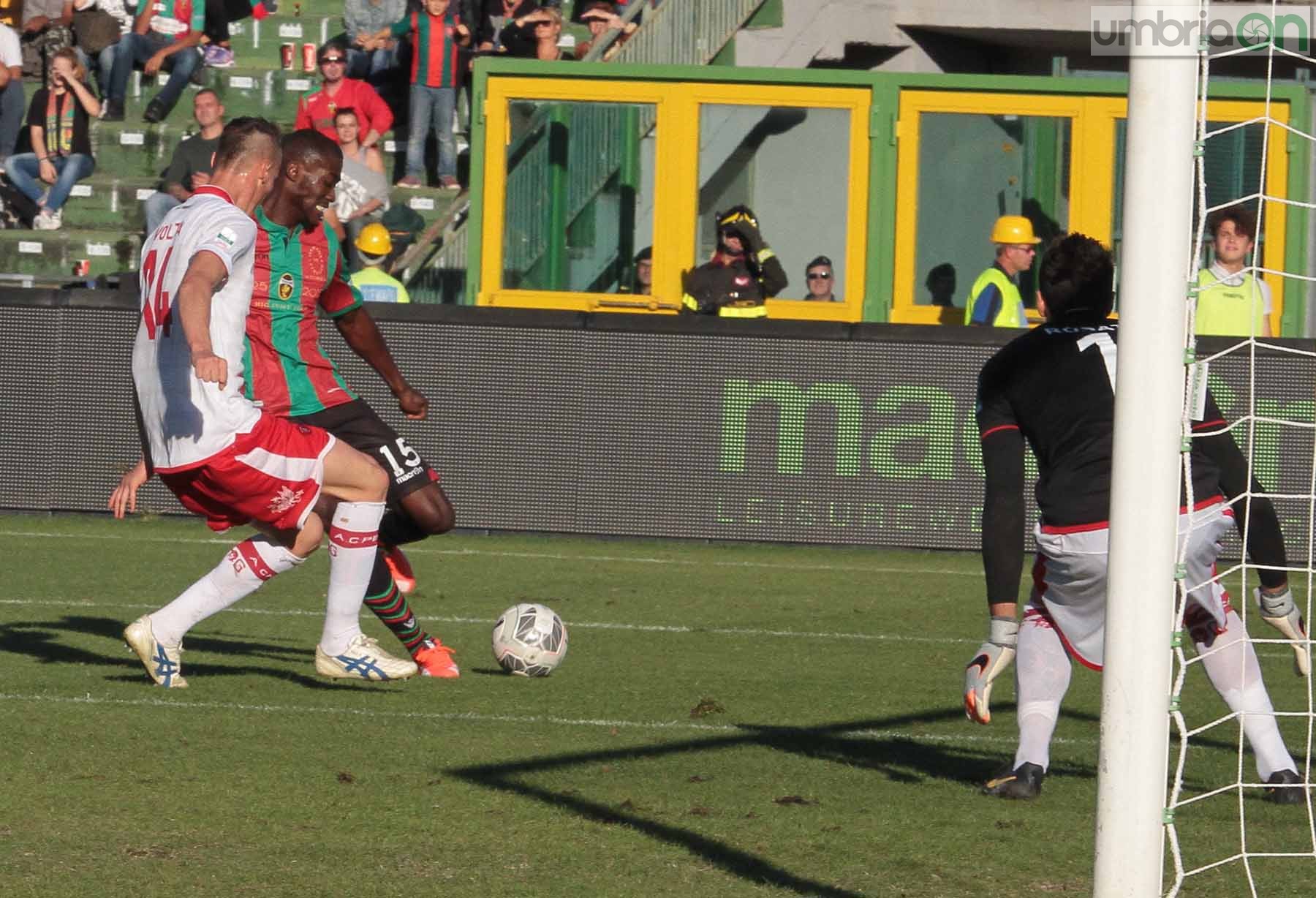 Ternana - Perugia 24 ottobre 2015 (Foto Mirimao) (77)