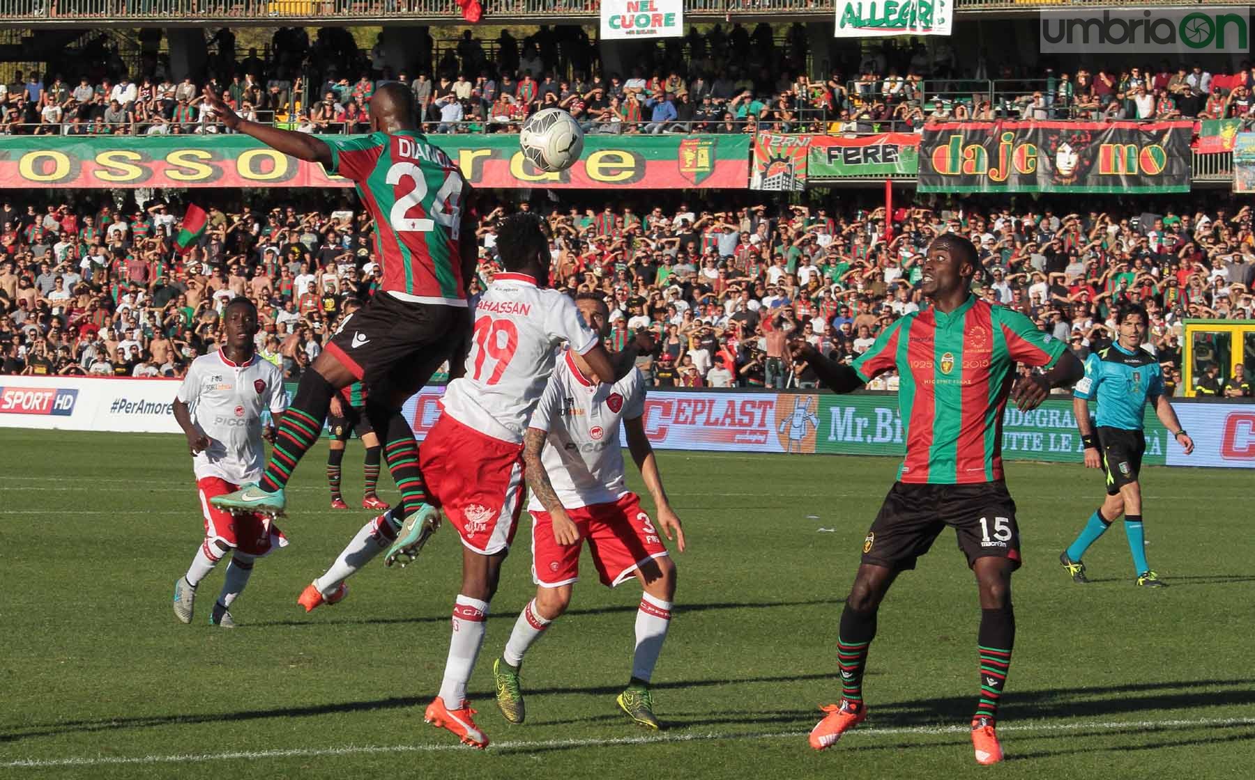 Ternana - Perugia 24 ottobre 2015 (Foto Mirimao) (78)